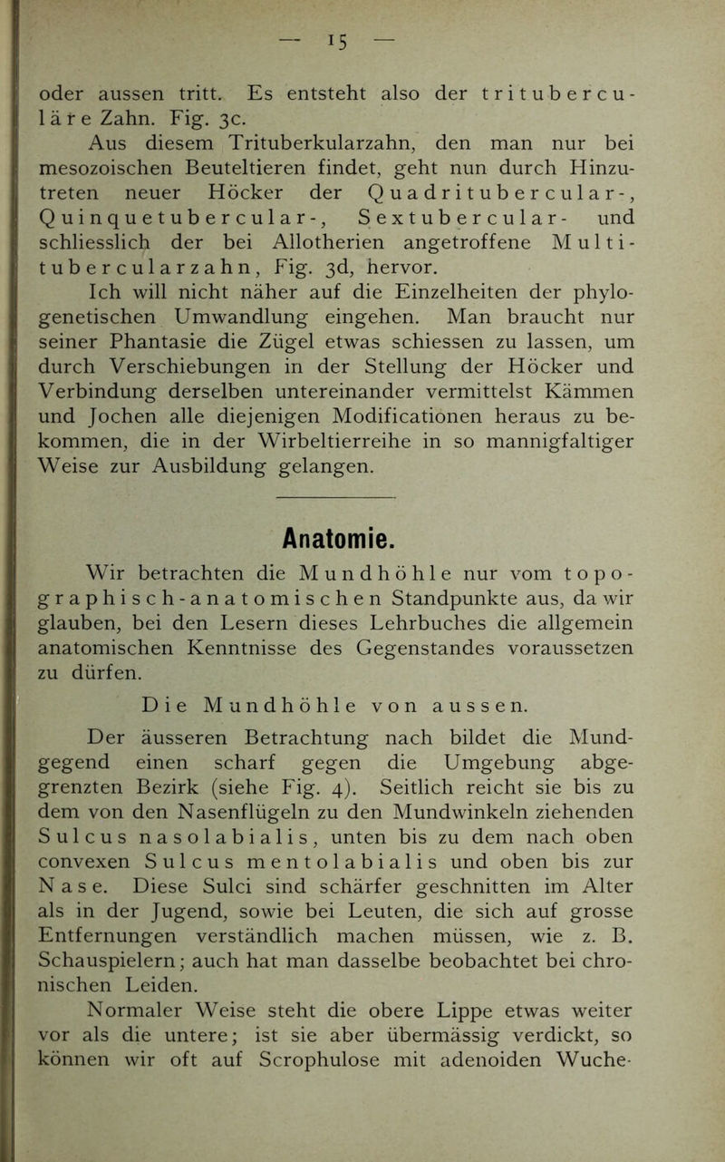 oder aussen tritt. Es entsteht also der tritubercu- 1 ä r e Zahn. Fig. 3c. Aus diesem Trituberkularzahn, den man nur bei mesozoischen Beuteltieren findet, geht nun durch Hinzu- treten neuer Höcker der Quadrituber cular-, Quinquetubercular-, Sextubercular- und schliesslich der bei Allotherien angetroffene Multi- tubercularzahn, Fig. ßd, hervor. Ich will nicht näher auf die Einzelheiten der phylo- genetischen Umwandlung eingehen. Man braucht nur seiner Phantasie die Zügel etwas schiessen zu lassen, um durch Verschiebungen in der Stellung der Höcker und Verbindung derselben untereinander vermittelst Kämmen und Jochen alle diejenigen Modificationen heraus zu be- kommen, die in der Wirbeltierreihe in so mannigfaltiger Weise zur Ausbildung gelangen. Anatomie. Wir betrachten die Mundhöhle nur vom topo- graphisch-anatomischen Standpunkte aus, da wir glauben, bei den Lesern dieses Lehrbuches die allgemein anatomischen Kenntnisse des Gegenstandes voraussetzen zu dürfen. Die Mundhöhle von aussen. Der äusseren Betrachtung nach bildet die Mund- gegend einen scharf gegen die Umgebung abge- grenzten Bezirk (siehe Fig. 4). Seitlich reicht sie bis zu dem von den Nasenflügeln zu den Mundwinkeln ziehenden Sulcus nasolabialis, unten bis zu dem nach oben convexen Sulcus mentolabialis und oben bis zur Nase. Diese Sulci sind schärfer geschnitten im Alter als in der Jugend, sowie bei Leuten, die sich auf grosse Entfernungen verständlich machen müssen, wie z. B. Schauspielern; auch hat man dasselbe beobachtet bei chro- nischen Leiden. Normaler Weise steht die obere Lippe etwas weiter vor als die untere; ist sie aber übermässig verdickt, so können wir oft auf Scrophulose mit adenoiden Wuche-