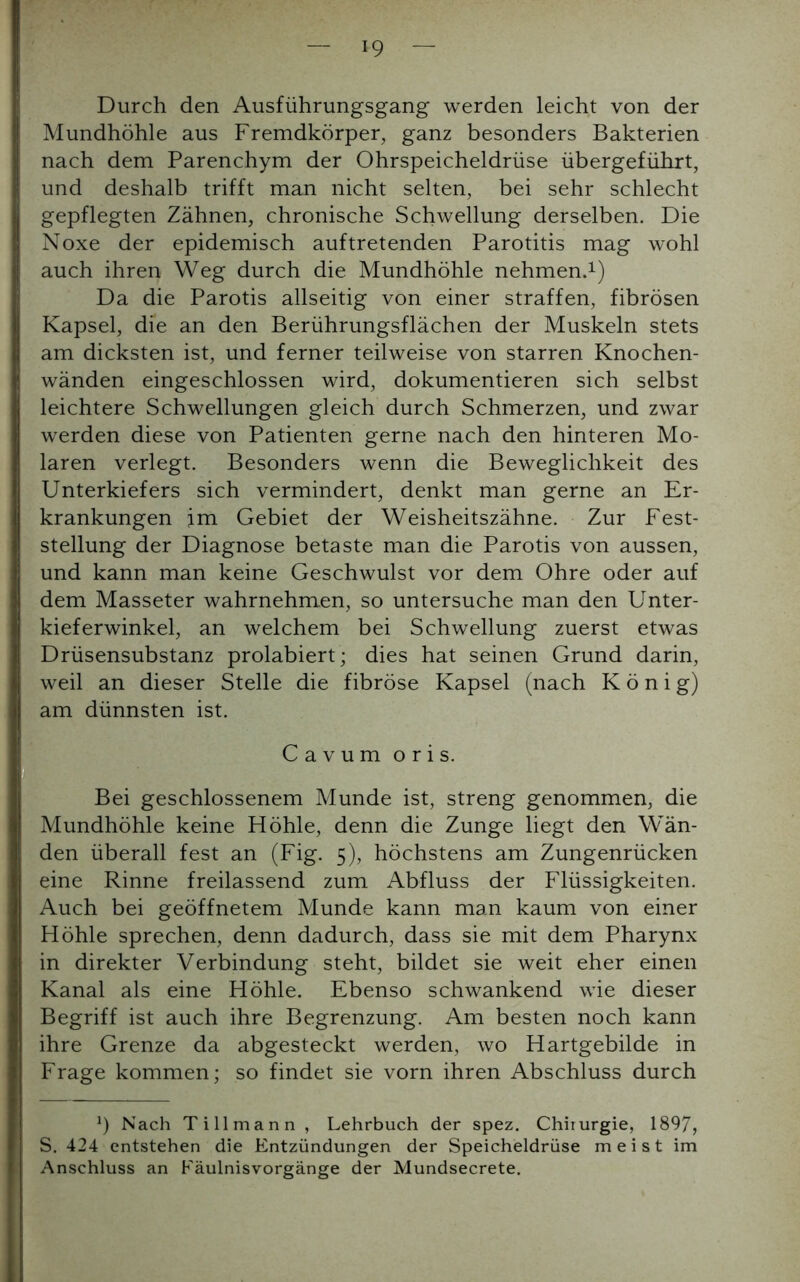 Durch den Ausführungsgang werden leicht von der Mundhöhle aus Fremdkörper, ganz besonders Bakterien nach dem Parenchym der Ohrspeicheldrüse übergeführt, und deshalb trifft man nicht selten, bei sehr schlecht gepflegten Zähnen, chronische Schwellung derselben. Die Noxe der epidemisch auf tretenden Parotitis mag wohl auch ihren Weg durch die Mundhöhle nehmen.1) Da die Parotis allseitig von einer straffen, fibrösen Kapsel, die an den Berührungsflächen der Muskeln stets am dicksten ist, und ferner teilweise von starren Knochen- wänden eingeschlossen wird, dokumentieren sich selbst leichtere Schwellungen gleich durch Schmerzen, und zwar werden diese von Patienten gerne nach den hinteren Mo- laren verlegt. Besonders wenn die Beweglichkeit des Unterkiefers sich vermindert, denkt man gerne an Er- krankungen jm Gebiet der Weisheitszähne. Zur Fest- stellung der Diagnose betaste man die Parotis von aussen, und kann man keine Geschwulst vor dem Ohre oder auf dem Masseter wahrnehmen, so untersuche man den Unter- kieferwinkel, an welchem bei Schwellung zuerst etwas Drüsensubstanz prolabiert; dies hat seinen Grund darin, weil an dieser Stelle die fibröse Kapsel (nach König) am dünnsten ist. Cavum oris. Bei geschlossenem Munde ist, streng genommen, die Mundhöhle keine Höhle, denn die Zunge liegt den Wän- den überall fest an (Fig. 5), höchstens am Zungenrücken eine Rinne freilassend zum Abfluss der Flüssigkeiten. Auch bei geöffnetem Munde kann man kaum von einer Höhle sprechen, denn dadurch, dass sie mit dem Pharynx in direkter Verbindung steht, bildet sie weit eher einen Kanal als eine Höhle. Ebenso schwankend wie dieser Begriff ist auch ihre Begrenzung. Am besten noch kann ihre Grenze da abgesteckt werden, wo Hartgebilde in Frage kommen; so findet sie vorn ihren Abschluss durch 9 Nach Ti 11 mann , Lehrbuch der spez. Chirurgie, 1897, S. 424 entstehen die Entzündungen der Speicheldrüse meist im Anschluss an Fäulnisvorgänge der Mundsecrete.