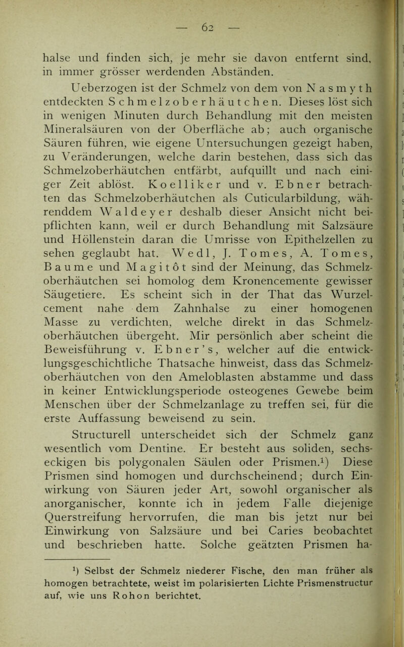 halse und finden sich, je mehr sie davon entfernt sind, in immer grösser werdenden Abständen. Ueberzogen ist der Schmelz von dem von Nasmyth entdeckten Schmelzoberhäutchen. Dieses löst sich in wenigen Minuten durch Behandlung mit den meisten Mineralsäuren von der Oberfläche ab; auch organische Säuren führen, wie eigene Untersuchungen gezeigt haben, zu Veränderungen, welche darin bestehen, dass sich das Schmelzoberhäutchen entfärbt, aufquillt und nach eini- ger Zeit ablöst. Koelliker und v. Ebner betrach- ten das Schmelzoberhäutchen als Cuticularbildung, wäh- renddem Waldeyer deshalb dieser Ansicht nicht bei- pflichten kann, weil er durch Behandlung mit Salzsäure und Höllenstein daran die Umrisse von Epithelzellen zu sehen geglaubt hat. Wedl, J. Tomes, A. Tomes, Baume und M a g i t 6 t sind der Meinung, das Schmelz- oberhäutchen sei homolog dem Kronencemente gewisser Säugetiere. Es scheint sich in der That das Wurzel- cement nahe dem Zahnhalse zu einer homogenen Masse zu verdichten, welche direkt in das Schmelz- oberhäutchen übergeht. Mir persönlich aber scheint die Beweisführung v. Ebner’s, welcher auf die entwick- lungsgeschichtliche Thatsache hinweist, dass das Schmelz- oberhäutchen von den Ameloblasten abstamme und dass in keiner Entwicklungsperiode osteogenes Gewebe beim Menschen über der Schmelzanlage zu treffen sei, für die erste Auffassung beweisend zu sein. Structurell unterscheidet sich der Schmelz ganz wesentlich vom Dentine. Er besteht aus soliden, sechs- eckigen bis polygonalen Säulen oder Prismen.1) Diese Prismen sind homogen und durchscheinend; durch Ein- wirkung von Säuren jeder Art, sowohl organischer als anorganischer, konnte ich in jedem Falle diejenige Querstreifung hervorrufen, die man bis jetzt nur bei Einwirkung von Salzsäure und bei Caries beobachtet und beschrieben hatte. Solche geätzten Prismen ha- Ü Selbst der Schmelz niederer Fische, den man früher als homogen betrachtete, weist im polarisierten Lichte Prismenstructur auf, wie uns Rohon berichtet. t I a li i ( v s I 1 I ( 1 ( ( S