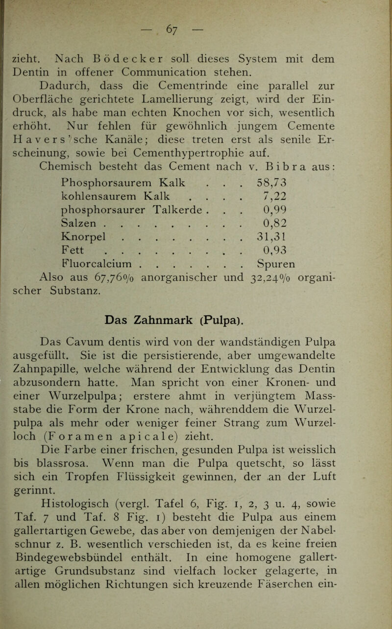 zieht. Nach Bödecker soll dieses System mit dem Dentin in offener Communication stehen. Dadurch, dass die Cementrinde eine parallel zur Oberfläche gerichtete Lamellierung zeigt, wird der Ein- druck, als habe man echten Knochen vor sich, wesentlich erhöht. Nur fehlen für gewöhnlich jungem Cemente Hävers’/sehe Kanäle; diese treten erst als senile Er- scheinung, sowie bei Cementhypertrophie auf. Chemisch besteht das Cement nach v. Bibra aus: Phosphorsaurem Kalk . . . 58,73 kohlensaurem Kalk .... 7,22 phosphorsaurer Talkerde . . . 0,99 Salzen 0,82 Knorpel 31,31 Fett 0,93 Fluorcalcium Spuren Also aus 67,760/0 anorganischer und 32,240/0 organi- scher Substanz. Das Zahnmark (Pulpa). Das Cavum dentis wird von der wandständigen Pulpa ausgefüllt. Sie ist die persistierende, aber umgewandelte Zahnpapille, welche während der Entwicklung das Dentin abzusondern hatte. Man spricht von einer Kronen- und einer Wurzelpulpa; erstere ahmt in verjüngtem Mass- stabe die Form der Krone nach, währenddem die Wurzel- pulpa als mehr oder weniger feiner Strang zum Wurzel- loch (Foramen apicale) zieht. Die Farbe einer frischen, gesunden Pulpa ist weisslich bis blassrosa. Wenn man die Pulpa quetscht, so lässt sich ein Tropfen Flüssigkeit gewinnen, der an der Luft gerinnt. Histologisch (vergl. Tafel 6, Fig. 1, 2, 3 u. 4, sowie Taf. 7 und Taf. 8 Fig. 1) besteht die Pulpa aus einem gallertartigen Gewebe, das aber von demjenigen der Nabel- schnur z. B. wesentlich verschieden ist, da es keine freien Bindegewebsbündel enthält. In eine homogene gallert- artige Grundsubstanz sind vielfach locker gelagerte, in allen möglichen Richtungen sich kreuzende Fäserchen ein-