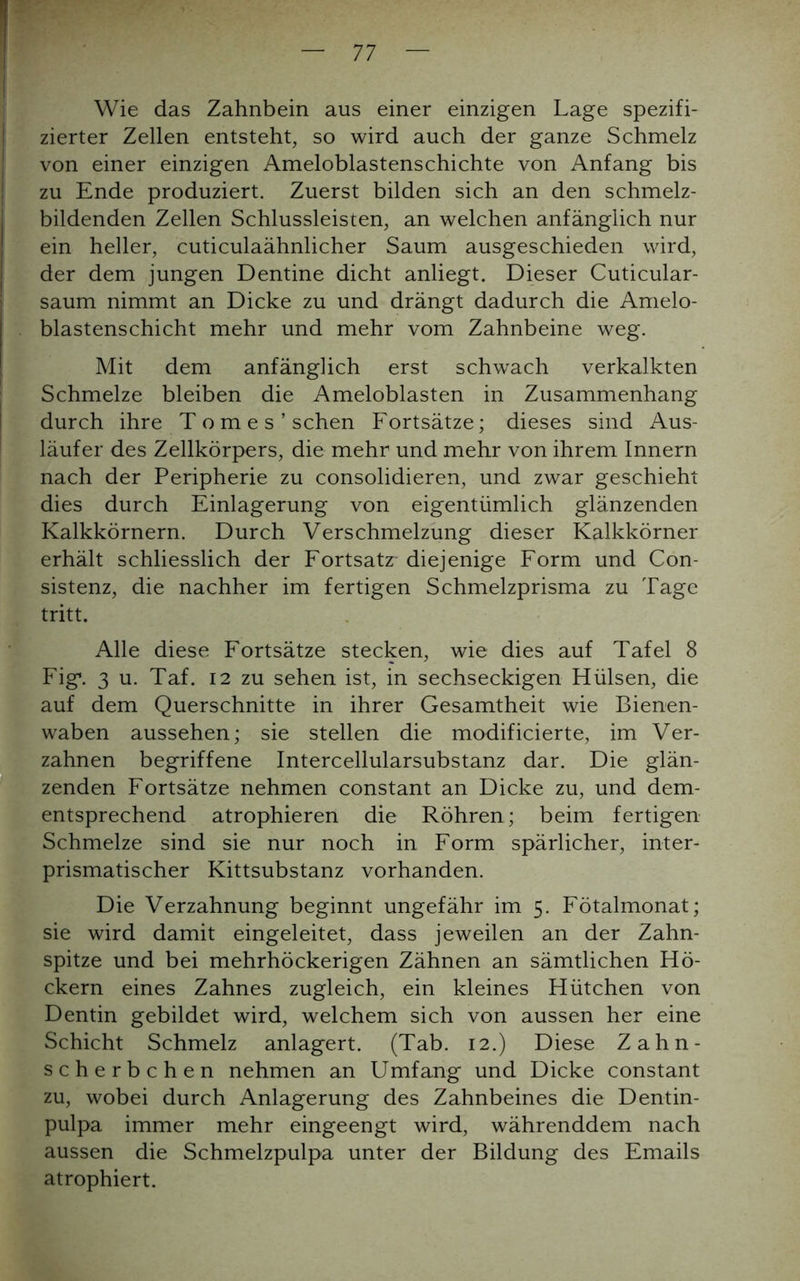 Wie das Zahnbein aus einer einzigen Lage spezifi- zierter Zellen entsteht, so wird auch der ganze Schmelz von einer einzigen Ameloblastenschichte von Anfang bis zu Ende produziert. Zuerst bilden sich an den schmelz- bildenden Zellen Schlussleisten, an welchen anfänglich nur ein heller, cuticulaähnlicher Saum ausgeschieden wird, der dem jungen Dentine dicht anliegt. Dieser Cuticular- saum nimmt an Dicke zu und drängt dadurch die Amelo- blastenschicht mehr und mehr vom Zahnbeine weg. Mit dem anfänglich erst schwach verkalkten Schmelze bleiben die Ameloblasten in Zusammenhang durch ihre Tom es’sehen Fortsätze; dieses sind Aus- läufer des Zellkörpers, die mehr und mehr von ihrem Innern nach der Peripherie zu consolidieren, und zwar geschieht dies durch Einlagerung von eigentümlich glänzenden Kalkkörnern. Durch Verschmelzung dieser Kalkkörner erhält schliesslich der Fortsatz diejenige Form und Con- sistenz, die nachher im fertigen Schmelzprisma zu Tage tritt. Alle diese Fortsätze stecken, wie dies auf Tafel 8 Fig. 3 u. Taf. 12 zu sehen ist, in sechseckigen Hülsen, die auf dem Querschnitte in ihrer Gesamtheit wie Bienen- waben aussehen; sie stellen die modificierte, im Ver- zahnen begriffene Intercellularsubstanz dar. Die glän- zenden Fortsätze nehmen constant an Dicke zu, und dem- entsprechend atrophieren die Röhren; beim fertigen Schmelze sind sie nur noch in Form spärlicher, inter- prismatischer Kittsubstanz vorhanden. Die Verzahnung beginnt ungefähr im 5. Fötalmonat; sie wird damit eingeleitet, dass jeweilen an der Zahn- spitze und bei mehrhöckerigen Zähnen an sämtlichen Hö- ckern eines Zahnes zugleich, ein kleines Hütchen von Dentin gebildet wird, welchem sich von aussen her eine Schicht Schmelz anlagert. (Tab. 12.) Diese Zahn- scherbchen nehmen an Umfang und Dicke constant zu, wobei durch Anlagerung des Zahnbeines die Dentin- pulpa immer mehr eingeengt wird, währenddem nach aussen die Schmelzpulpa unter der Bildung des Emails atrophiert.