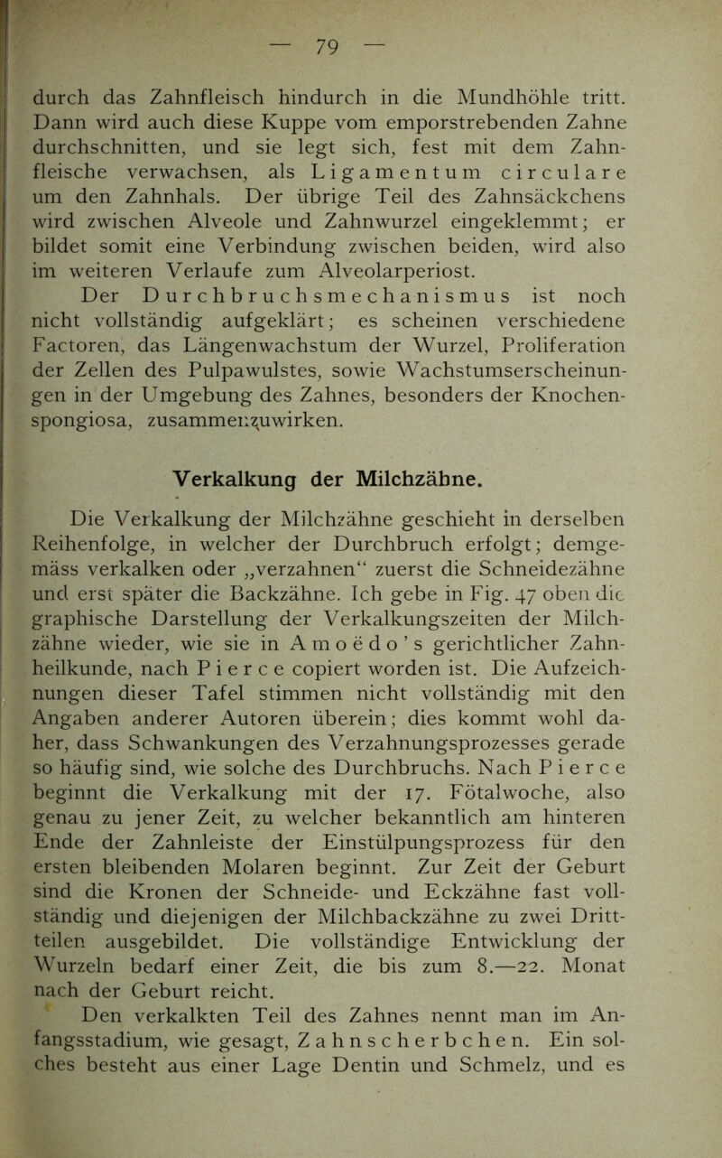 durch das Zahnfleisch hindurch in die Mundhöhle tritt. Dann wird auch diese Kuppe vom emporstrebenden Zahne durchschnitten, und sie legt sich, fest mit dem Zahn- fleische verwachsen, als Ligamentum circulare um den Zahnhals. Der übrige Teil des Zahnsäckchens wird zwischen Alveole und Zahnwurzel eingeklemmt; er bildet somit eine Verbindung zwischen beiden, wird also im weiteren Verlaufe zum Alveolarperiost. Der Durchbruchsmechanismus ist noch nicht vollständig aufgeklärt; es scheinen verschiedene Factoren, das Längenwachstum der Wurzel, Proliferation der Zellen des Pulpawulstes, sowie Wachstumserscheinun- gen in der Umgebung des Zahnes, besonders der Knochen- spongiosa, zusammenzuwirken. Verkalkung der Milchzäbne. Die Verkalkung der Milchzähne geschieht in derselben Reihenfolge, in welcher der Durchbruch erfolgt; demge- mäss verkalken oder „verzahnen“ zuerst die Schneidezähne und erst später die Backzähne. Ich gebe in Fig. 47 oben die graphische Darstellung der Verkalkungszeiten der Milch- zähne wieder, wie sie in Amoedo’s gerichtlicher Zahn- heilkunde, nach P i e r c e copiert worden ist. Die Aufzeich- nungen dieser Tafel stimmen nicht vollständig mit den Angaben anderer Autoren überein; dies kommt wohl da- her, dass Schwankungen des Verzahnungsprozesses gerade so häufig sind, wie solche des Durchbruchs. Nach P i e r c e beginnt die Verkalkung mit der 17. Fötalwoche, also genau zu jener Zeit, zu welcher bekanntlich am hinteren Ende der Zahnleiste der Einstülpungsprozess für den ersten bleibenden Molaren beginnt. Zur Zeit der Geburt sind die Kronen der Schneide- und Eckzähne fast voll- ständig und diejenigen der Milchbackzähne zu zwei Dritt- teilen ausgebildet. Die vollständige Entwicklung der Wurzeln bedarf einer Zeit, die bis zum 8.—22. Monat nach der Geburt reicht. Den verkalkten Teil des Zahnes nennt man im An- fangsstadium, wie gesagt, Zahnscherbchen. Ein sol- ches besteht aus einer Lage Dentin und Schmelz, und es