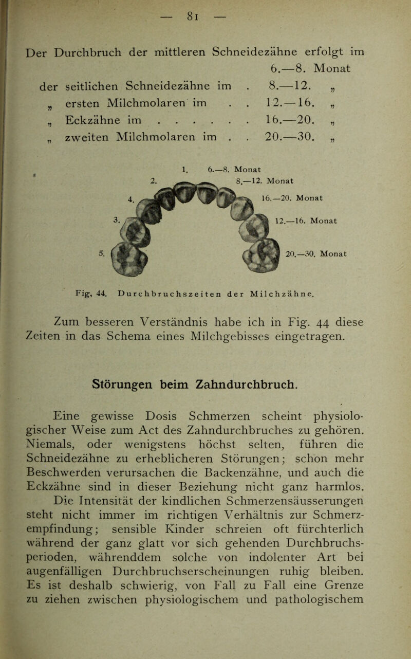 Der Durchbruch der mittleren Schneidezähne erfolgt im 6.—8. Monat der seitlichen Schneidezähne im . 8.—12. „ „ ersten Milchmolaren im . . 12.—16. „ „ Eckzähne im 16.—20. „ „ zweiten Milchmolaren im . 20.—30. „ 5. Fig, 44. Durchbruchszeiten der Milchzähne. 1. 6.—8. Monat 8.—12. Monat 16.—20. Monat 12.—16. Monat 20.—30. Monat Zum besseren Verständnis habe ich in Fig. 44 diese Zeiten in das Schema eines Milchgebisses eingetragen. Störungen beim Zahndurchbruch. Eine gewisse Dosis Schmerzen scheint physiolo- gischer Weise zum Act des Zahndurchbruches zu gehören. Niemals, oder wenigstens höchst selten, führen die Schneidezähne zu erheblicheren Störungen; schon mehr Beschwerden verursachen die Backenzähne, und auch die Eckzähne sind in dieser Beziehung nicht ganz harmlos. Die Intensität der kindlichen Schmerzensäusserungen steht nicht immer im richtigen Verhältnis zur Schmerz- empfindung; sensible Kinder schreien oft fürchterlich während der ganz glatt vor sich gehenden Durchbruchs- perioden, währenddem solche von indolenter Art bei augenfälligen Durchbruchserscheinungen ruhig bleiben. Es ist deshalb schwierig, von Fall zu Fall eine Grenze zu ziehen zwischen physiologischem und pathologischem