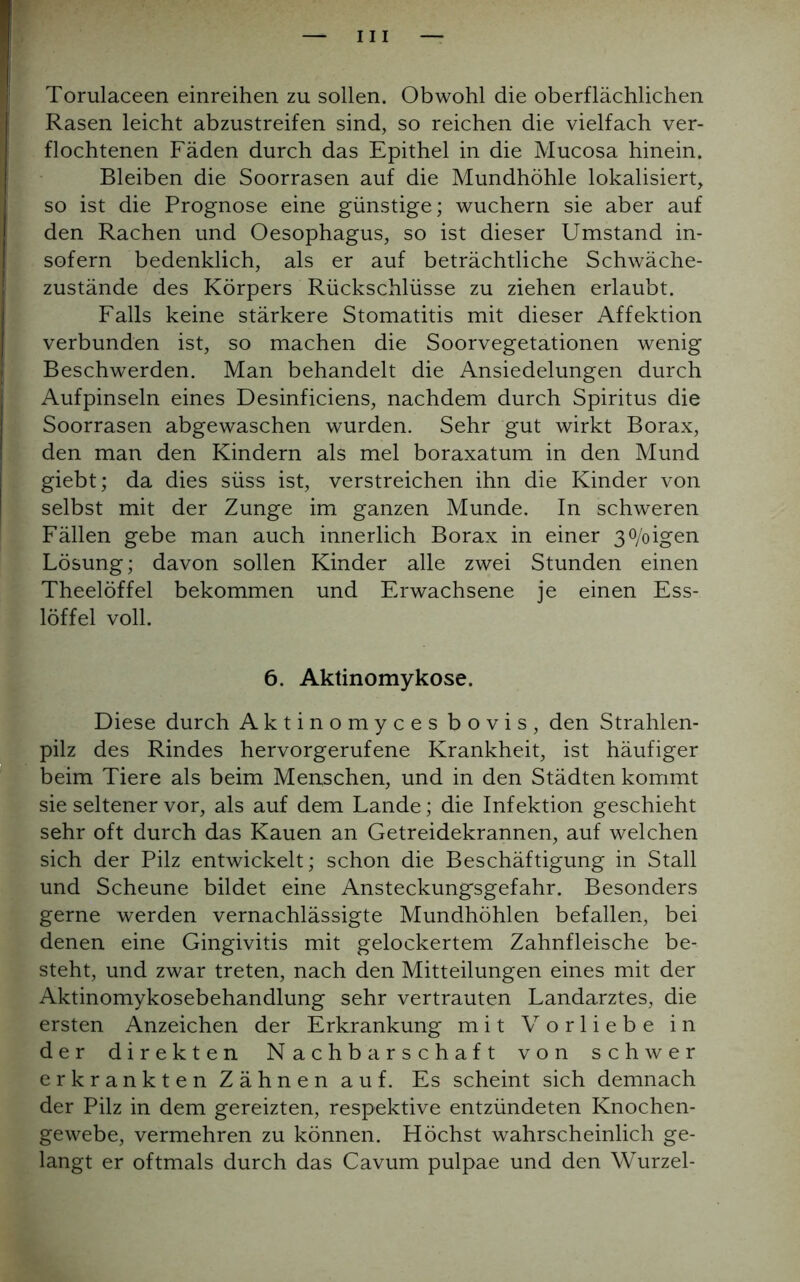 Torulaceen einreihen zu sollen. Obwohl die oberflächlichen Rasen leicht abzustreifen sind, so reichen die vielfach ver- flochtenen Fäden durch das Epithel in die Mucosa hinein. Bleiben die Soorrasen auf die Mundhöhle lokalisiert, so ist die Prognose eine günstige; wuchern sie aber auf den Rachen und Oesophagus, so ist dieser Umstand in- sofern bedenklich, als er auf beträchtliche Schwäche- zustände des Körpers Rückschlüsse zu ziehen erlaubt. Falls keine stärkere Stomatitis mit dieser Affektion verbunden ist, so machen die Soorvegetationen wenig Beschwerden. Man behandelt die Ansiedelungen durch Aufpinseln eines Desinficiens, nachdem durch Spiritus die Soorrasen abgewaschen wurden. Sehr gut wirkt Borax, den man den Kindern als mel boraxatum in den Mund giebt; da dies süss ist, verstreichen ihn die Kinder von selbst mit der Zunge im ganzen Munde. In schweren Fällen gebe man auch innerlich Borax in einer 30/oigen Lösung; davon sollen Kinder alle zwei Stunden einen Theelöffel bekommen und Erwachsene je einen Ess- löffel voll. 6. Aktinomykose. Diese durch Aktinomyces bovis, den Strahlen- pilz des Rindes hervorgerufene Krankheit, ist häufiger beim Tiere als beim Menschen, und in den Städten kommt sie seltener vor, als auf dem Lande; die Infektion geschieht sehr oft durch das Kauen an Getreidekrannen, auf welchen sich der Pilz entwickelt; schon die Beschäftigung in Stall und Scheune bildet eine Ansteckungsgefahr. Besonders gerne werden vernachlässigte Mundhöhlen befallen, bei denen eine Gingivitis mit gelockertem Zahnfleische be- steht, und zwar treten, nach den Mitteilungen eines mit der Aktinomykosebehandlung sehr vertrauten Landarztes, die ersten Anzeichen der Erkrankung mit Vorliebe in der direkten Nachbarschaft von schwer erkrankten Zähnen auf. Es scheint sich demnach der Pilz in dem gereizten, respektive entzündeten Knochen- gewebe, vermehren zu können. Höchst wahrscheinlich ge- langt er oftmals durch das Cavum pulpae und den Wurzel-