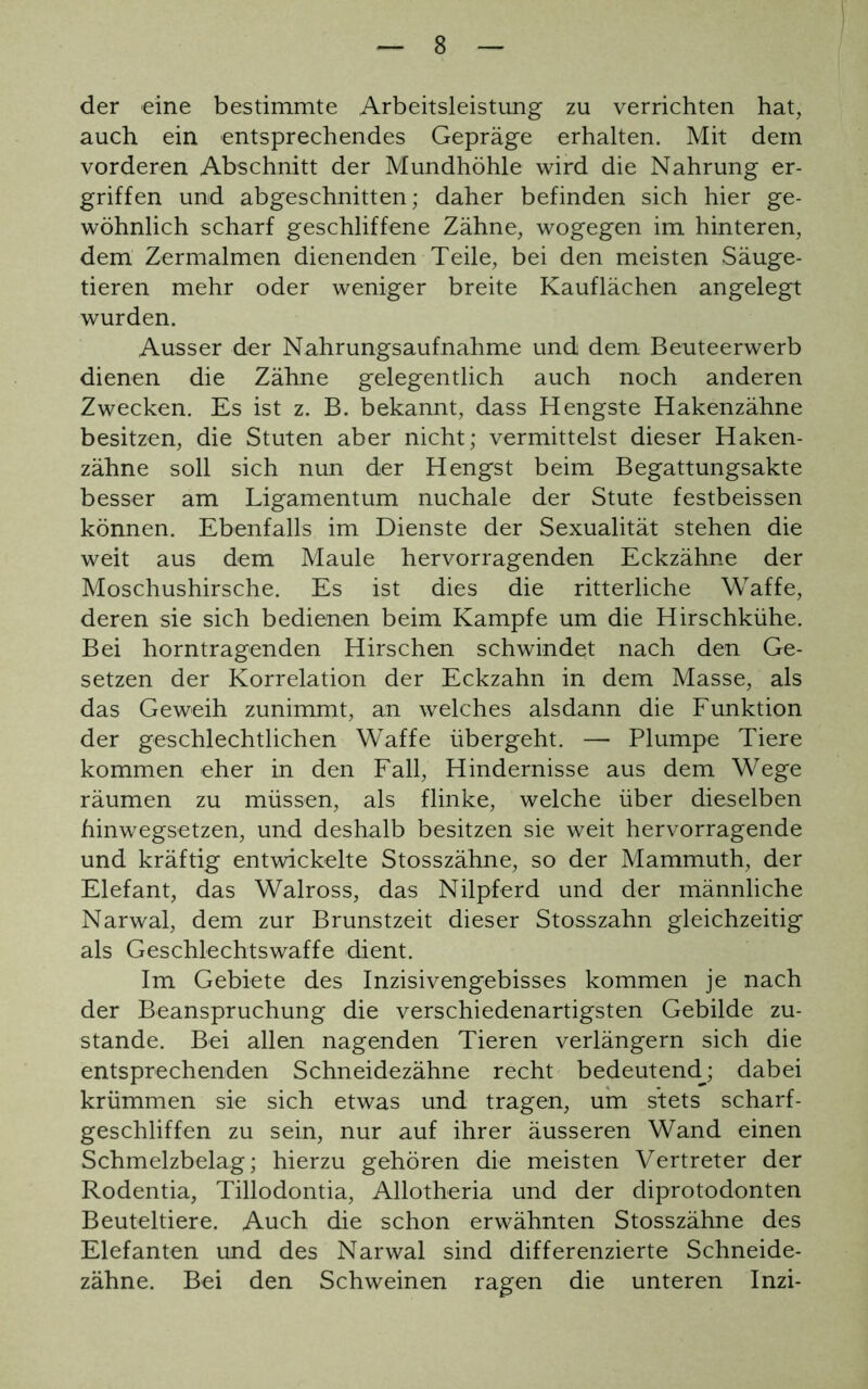 der eine bestimmte Arbeitsleistung zu verrichten hat, auch ein entsprechendes Gepräge erhalten. Mit dem vorderen Abschnitt der Mundhöhle wird die Nahrung er- griffen und abgeschnitten; daher befinden sich hier ge- wöhnlich scharf geschliffene Zähne, wogegen im hinteren, dem Zermalmen dienenden Teile, bei den meisten Säuge- tieren mehr oder weniger breite Kauflächen angelegt wurden. Ausser der Nahrungsaufnahme und dem Beuteerwerb dienen die Zähne gelegentlich auch noch anderen Zwecken. Es ist z. B. bekannt, dass Hengste Hakenzähne besitzen, die Stuten aber nicht; vermittelst dieser Haken- zähne soll sich nun der Hengst beim Begattungsakte besser am Ligamentum nuchale der Stute festbeissen können. Ebenfalls im Dienste der Sexualität stehen die weit aus dem Maule hervorragenden Eckzähne der Moschushirsche. Es ist dies die ritterliche Waffe, deren sie sich bedienen beim Kampfe um die Hirschkühe. Bei horntragenden Hirschen schwindet nach den Ge- setzen der Korrelation der Eckzahn in dem Masse, als das Geweih zunimmt, an welches alsdann die Funktion der geschlechtlichen Waffe übergeht. — Plumpe Tiere kommen eher in den Fall, Hindernisse aus dem Wege räumen zu müssen, als flinke, welche über dieselben hinwegsetzen, und deshalb besitzen sie weit hervorragende und kräftig entwickelte Stosszähne, so der Mammuth, der Elefant, das Walross, das Nilpferd und der männliche Narwal, dem zur Brunstzeit dieser Stosszahn gleichzeitig als Geschlechtswaffe dient. Im Gebiete des Inzisivengebisses kommen je nach der Beanspruchung die verschiedenartigsten Gebilde zu- stande. Bei allen nagenden Tieren verlängern sich die entsprechenden Schneidezähne recht bedeutend^; dabei krümmen sie sich etwas und tragen, um stets scharf- geschliffen zu sein, nur auf ihrer äusseren Wand einen Schmelzbelag; hierzu gehören die meisten Vertreter der Rodentia, Tillodontia, Allotheria und der diprotodonten Beuteltiere. Auch die schon erwähnten Stosszähne des Elefanten und des Narwal sind differenzierte Schneide- zähne. Bei den Schweinen ragen die unteren Inzi-