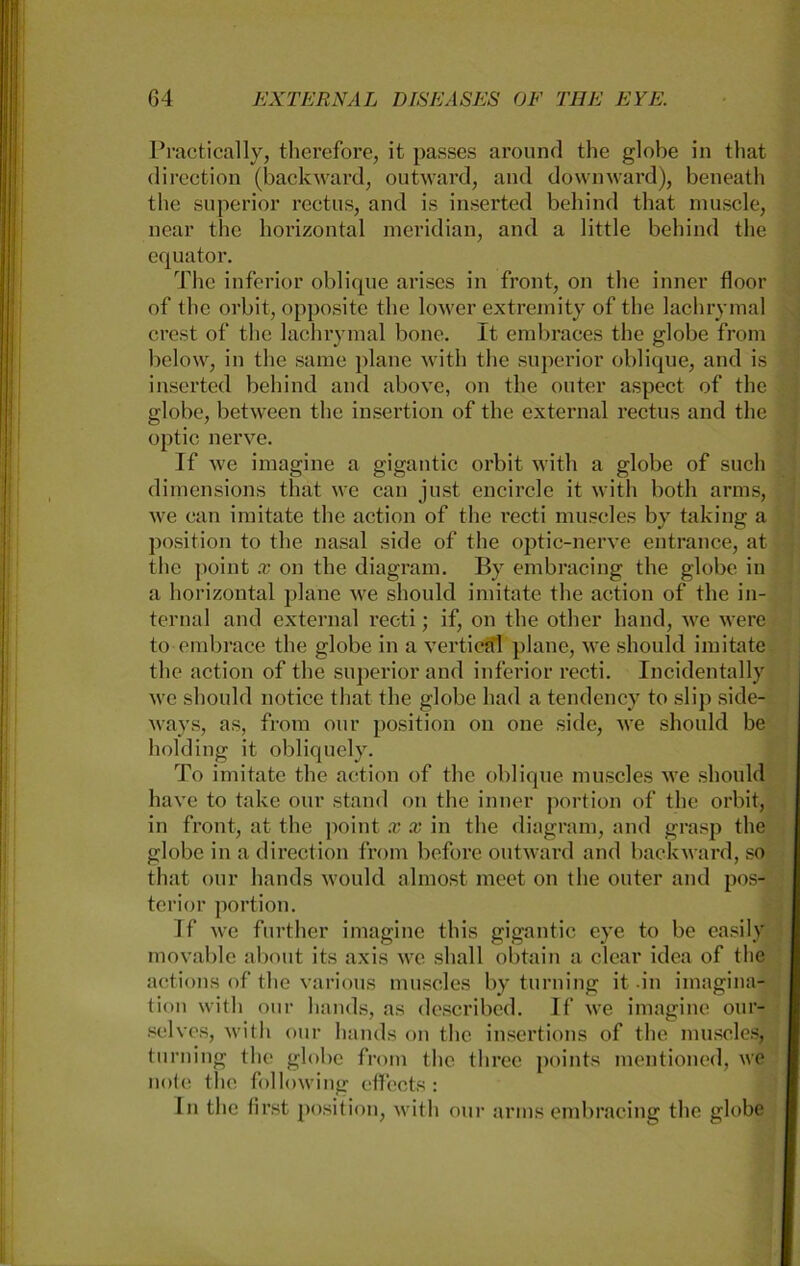 Practically, therefore, it passes around the globe in that direction (backward, outward, and downward), beneath tbe superior rectus, and is inserted behind that muscle, ncar the horizontal meridian, and a little behind the equator. The inferior oblique arises in front, on the inner floor of the orbit, opposite the lower extrernity of the lachrymal crest of the lachrymal bone. It embraces the globe from below, in the same plane with the superior oblique, and is inserted behind and above, on the outer aspect of the globe, between the insertion of the external rectus and the optic nerve. If we imagine a gigantic orbit with a globe of such dimensions that we can just encircle it with both arms, we can imitate the action of the recti muscles by taking a position to the nasal side of the optic-nerve entrance, at the point x on the diagram. By embracing the globe in a horizontal plane we should imitate the action of the in- ternal and external recti; if, on the other hand, we were to embrace the globe in a vertical plane, we should imitate the action of the superior and inferior recti. Incidentally we should notice that the globe liad a tendency to slip side- ways, as, from our position on one side, we should be holding it obliquely. To imitate the action of the oblique muscles we should have to take our stand on the inner portion of the orbit, in front, at the point x x in the diagram, and grasp the globe in a direction from before outward and backward, so that our hands would almost meet on the outer and pos- terior portion. If we further imagine this gigantic eye to be easily movable about its axis we shall obtain a clear idea of the actions of the various muscles by turning it in imagina- tion with our hands, as described. If we imagine our- selves, with our hands on the insertions of the muscles, turning the globe from the three points mentioned, we note the following effects: In the first position, with our arms embracing the globe