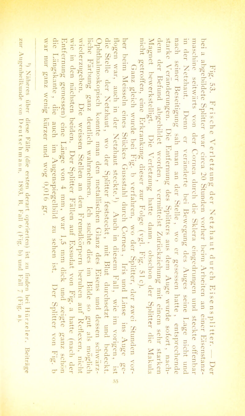 ') Näheres über diese Fälle (die ersten derart operierten) ist zu linden bei Hiirzeler. Beiträge zur Augenheilkunde von Deutschmann. 1893. B. Fall 6 (Fig. b) und Fall 7 (Fig. a |. v cd aq aq ?L cd cd zr ^ 2* a N cd aq — Q 2- 3^ 3* 3. ^ 2L ~ ^ Qrq 2 2L p er t>S 2- ^ Q p Oq n cd aq CD CD <w' s _ PT“ 3 2: p o n» Q er CT; • rt> 2- £ 2 aq oq 5 N CD Z \r CD 3 P ^ 3 ^ N CD cn aq 05 2. o er 3 3* n n _ O ~ 2 2- — tn 2 2. *2^ 3 2 5 'c — SO g 2- 3 2 rc> 2 — 2- ^ o 2. £- 3* O CD 2t CTQ 3. O CTQ N O CD 3 CD -r CD CD CD ^ er. 0Q 2- 3- erq 2 er ro ^ 2 aq Q -j < rx c/: Q (f) O 2 73 w O 2 3- ü CD e~f- CD* 6 r-F N FT O ?r 0* 3- P s er. 3 aq rF > O O rt- aq* 0 O _ O ja O 3Q IQ (t O T3 » (t  =| = l^|3 3. ■*- rt 3 rt ° X rt . erq 0) OQ 3 ^ ft 3 EL: 3 _ * — o_ p p 2 £2 Ul Pd O: n X J2 2 tr. j CL S?5' d P 3 “» O o 2 CD ZT Hi rv cd tr c/j — er > d f“F 2 —r- O 3 o 2- — O 0 rt- 2 5 w cn N •—* 3 CD £ 1—' *-* 3 aq O « N aq 2 O O P 3~ 2* ^ 3 p 3 rF 5. 2 0' r^- rh f-F ^Z. r-F O CTQ CD “52 n> X 2- w*— — PT o> 3 cl ■ CD CD cT ° 2 3 N ™ ^ P CD Oq r-F CD -• S Cfl k—i rD t“ uj -* ■—1 22 -• er N a- n> erq w 3* cd erq n m h O < O <r c 3 CD tf) ir~J in CD in Oq -erq s:. g g ; 2. -3. * erq’ 3- CTQ rt P ^ 2 O r^- o Crq c cd P —\ '/\ in 3 3 rt N P 3 « n - ^ v) 3 c: 2- 5.3[! C: rT 3- o* 3 O 12 n O^ in CD :. >> CT Crq 2 o o aq 3-3 0 o> - £- ~.<re Oi o — 3 o FT «s-h erq q 3 N pfJ rt r^- O* c/j 0 O O 2 * 3t h r-F O CL O 3 UJ . r-F -5 a> 2 0) O 3 rx r-F er c^ in O 3 _ rt -• — c aq rt rt o o rr* p ^ 3 =: r 1 s 2 E. rt y G. P 3 i O Fig. 53. Frische Verletzung der Netzhaut durch E i s e n s pl i tt er. •— Der hei a abgebildete Splitter war circa 20 Stunden vorher beim Arbeiten an einer Eisenstanz- maschine seitwärts von der Cornea durch die Sklera eingedrungen und steckte offenbar