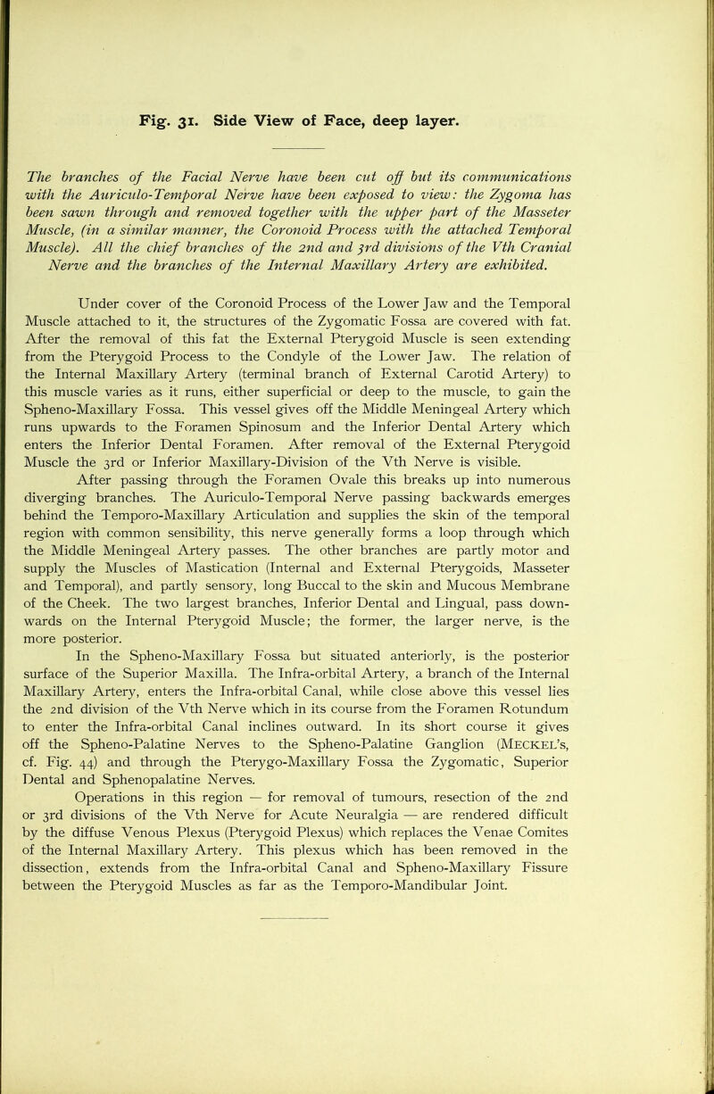 The branches of the Facial Nerve have been exit of but its communications with the Auriculo-Temporal Nerve have been exposed to view: the Zygoma has been sawn through and removed together with the upper part of the Masseter Muscle, (in a similar manner, the Coronoid Process with the attached Temporal Muscle). All the chief branches of the 2nd and 3rd divisions of the Vth Cranial Nerve and the branches of the Internal Maxillary Artery are exhibited. Under cover of the Coronoid Process of the Lower Jaw and the Temporal Muscle attached to it, the structures of the Zygomatic Fossa are covered with fat. After the removal of this fat the External Pterygoid Muscle is seen extending from the Pterygoid Process to the Condyle of the Lower Jaw. The relation of the Internal Maxillary Artery (terminal branch of External Carotid Artery) to this muscle varies as it runs, either superficial or deep to the muscle, to gain the Spheno-Maxillary Fossa. This vessel gives off the Middle Meningeal Artery which runs upwards to the Foramen Spinosum and the Inferior Dental Artery which enters the Inferior Dental Foramen. After removal of the External Pterygoid Muscle the 3rd or Inferior Maxillary-Division of the Vth Nerve is visible. After passing through the Foramen Ovale this breaks up into numerous diverging branches. The Auriculo-Temporal Nerve passing backwards emerges behind the Temporo-Maxillary Articulation and supplies the skin of the temporal region with common sensibility, this nerve generally forms a loop through which the Middle Meningeal Artery passes. The other branches are partly motor and supply the Muscles of Mastication (Internal and External Pterygoids, Masseter and Temporal), and partly sensory, long Buccal to the skin and Mucous Membrane of the Cheek. The two largest branches, Inferior Dental and Lingual, pass down- wards on the Internal Pterygoid Muscle; the former, the larger nerve, is the more posterior. In the Spheno-Maxillary Fossa but situated anteriorly, is the posterior surface of the Superior Maxilla. The Infra-orbital Artery, a branch of the Internal Maxillary Artery, enters the Infra-orbital Canal, while close above this vessel lies the 2nd division of the Vth Nerve which in its course from the Foramen Rotundum to enter the Infra-orbital Canal inclines outward. In its short course it gives off the Spheno-Palatine Nerves to the Spheno-Palatine Ganglion (Meckel’s, cf. Fig. 44) and through the Pterygo-Maxillary Fossa the Zygomatic, Superior Dental and Sphenopalatine Nerves. Operations in this region — for removal of tumours, resection of the 2nd or 3rd divisions of the Vth Nerve for Acute Neuralgia — are rendered difficult by the diffuse Venous Plexus (Pterygoid Plexus) which replaces the Venae Comites of the Internal Maxillary Artery. This plexus which has been removed in the dissection, extends from the Infra-orbital Canal and Spheno-Maxillary Fissure between the Pterygoid Muscles as far as the Temporo-Mandibular Joint.