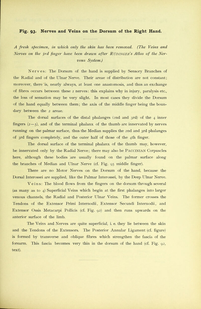 A fresh specimen, in which only the skin has been removed. (The Veins and Nerves on the 3rd finger have been drawn after Rüdinger’s Atlas of the Ner- vous System.) Nerves: The Dorsum of the hand is supplied by Sensory Branches of the Radial and of the Ulnar Nerve. Their areae of distribution are not constant; moreover, there'is, nearly always, at least one anastomosis, and thus an exchange of fibres occurs between these 2 nerves: this explains why in injury, paralysis etc., the loss of sensation may be very slight. In most cases they divide the Dorsum of the hand equally between them; the axis of the middle finger being the boun- dary between the 2 areae: The dorsal surfaces of the distal phalanges (2nd and 3rd) of the 4 inner fingers (2—5), and of the terminal phalanx of the thumb are innervated by nerves running on the palmar surface, thus the Median supplies the 2nd and 3rd phalanges of 3rd fingers completely, and the outer half of those of the 4th finger. The dorsal surface of the terminal phalanx of the thumb may, however, be innervated only by the Radial Nerve; there may also be PACCINIAN Corpuscles here, although these bodies (are usually found on the palmar surface along the branches of Median and Ulnar Nerve (cf. Fig. 95 middle finger). There are no Motor Nerves on the Dorsum of the hand, because the Dorsal Interossei are supplied, like the Palmar Interossei, by the Deep Ulnar Nerve. Veins: The blood flows from the fingers on the dorsum through several (as many as to 4) Superficial Veins which begin at the first phalanges into larger venous channels, the Radial and Posterior Ulnar Veins. The former crosses the Tendons of the Extensor Primi Internodii, Extensor Secundi Internodii, and Extensor Ossis Metacarpi Pollicis (cf. Fig. 92) and then runs upwards on the anterior surface of the limb. The Veins and Nerves are quite superficial, i. e. they lie between the skin and the Tendons of the Extensors. The Posterior Annular Ligament (cf. figure) is formed by transverse and oblique fibres which strengthen the fascia of the forearm. This fascia becomes very thin in the dorsum of the hand (cf. Fig. 92, text).