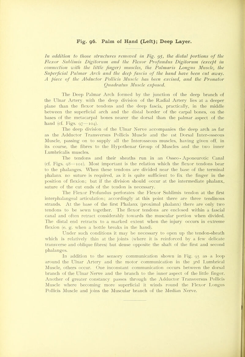 In addition to those structures removed in Fig. g$, the distal portions of the Flexor Sublimis Digitorum and the Flexor Profundus Digitorum (except in connection with the little finger) muscles, the Palmaris Longus Muscle, the Superficial Palmar Arch and the deep fascia of the hand have been cut away. A piece of the Abductor Pollicis Muscle has been excised, and the Pronator Quadratus Muscle exposed. The Deep Palmar Arch formed by the junction of the deep branch of the Ulnar Artery, with the deep division of the Radial Artery lies at a deeper plane than the flexor tendons and the deep fascia, practically, in the middle between the superficial arch and the distal border of the carpal bones, on the bases of the metacarpal bones nearer the dorsal than the palmar aspect of the hand (cf. Figs. 97—104). The deep division of the Ulnar Nerve accompanies the deep arch as far as the Adductor Transversus Pollicis Muscle and the ist Dorsal Inter-osseous Muscle, passing on to supply all the Interosseous muscles, having given off, in its course, the fibres to the Hypothenar Group of Muscles and the two inner Lumbricalis muscles. The tendons and their sheaths run in an Osseo - Aponeurotic Canal (cf. Figs. 98—101). Most important is the relation which the flexor tendons bear to the phalanges. When these tendons are divided near the base of the terminal phalanx no suture is required, as it is quite sufficient to fix the finger in the position of flexion; but if the division should occur at the intermediate phalanx, suture of the cut ends of the tendon is necessary. The Flexor Profundus perforates the Flexor Sublimis tendon at the first interphalangeal articulation; accordingly at this point there are three tendinous strands. At the base of the first Phalanx (proximal phalanx) there are only two tendons to be sewn together. The flexor tendons are enclosed within a fascial canal and often retract considerably towards the muscular portion when divided. The distal end retracts to a marked extent when the injury occurs in extreme flexion (e. g. when a bottle breaks in the hand). Under such conditions it may be necessary to open up the tendon-sheath which is relatively thin at the joints (where it is reinforced by a few delicate transverse and oblique fibres) but dense opposite the shaft of the first and second phalanges. In addition to the sensory communication shown in Fig. 95 as a loop around the Ulnar Artery and the motor communication in the 3rd Lumbrical Muscle, others occur. One inconstant communication occurs between the dorsal branch of the Ulnar Nerve and the branch to the inner aspect of the little finger. Another of greater constancy passes through the Adductor Transversus Pollicis Muscle where becoming more superficial it winds round the Flexor Longus Pollicis Muscle and joins the Muscular branch of the Median Nerve.