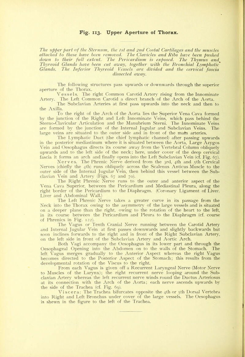 The upper part of the Sternum, the 1st and 2nd Costal Cartilages and the muscles attached to these have been removed. The Clavicles and Ribs have been pushed down to their full extent. The Pericardium is exposed. The Thymus and Thyreoid Glands have been cut away, together with the Bronchial Lymphatic' Glands. The Inferior Thyreoid Vessels are divided and the cervical fascia dissected away. The following structures pass upwards or downwards through the superior aperture of the Thorax. Vessels. The right Common Carotid Artery rising from the Innominate Artery. The Left Common Carotid a direct branch of the Arch of the Aorta. The Subclavian Arteries at first pass upwards into the neck and then to the Axilla. To the right of the Arch of the Aorta lies the Superior Vena Cava formed by the junction of the Right and Left Innominate Veins, which pass behind the Stern o-Clavicular Articulation and the Manubrium Sterni. The Innominate Veins are formed by the junction of the Internal Jugular and Subclavian Veins. The large veins are situated to the outer side and in front of the mam arteries. The Lymphatic Duct (the chief lymphatic channel) after passing upwards in the posterior mediastinum where it is situated between the Aorta, Large Azygos Vein and Oesophagus directs its course away from the Vertebral Column obliquely upwards and to the left side of the neck; here, under cover of the deep cervical fascia it forms an arch and finally opens into the Left Subclavian Vein (cf. Fig. 67). Nerves. The Phrenic Nerve derived from the 3rd, 4th and 5th Cervical Nerves (chiefly the 4th) runs obliquely across the Scalenus Anticus Muscle to the outer side of the Internal Jugular Vein, then behind this vessel between the Sub- clavian Vein and Artery (Figs. 67 and 70). The Right Phrenic Nerve runs to the outer and anterior aspect of the Vena Cava Superior, between the Pericardium and Mediastinal Pleura, along the right border of the Pericardium to the Diaphragm. (Coronary Ligament of Liver. Liver and Abdominal Wall.) The Left Phrenic Nerve takes a greater curve in its passage from the Neck into the Thorax owing to the asymmetry of the large vessels and is situated on a deeper plane than the right, owing to the rotation of the heart to the left, in its course between the Pericardium and Pleura to the Diaphragm (cf. course of Phrenics in Fig. 122). The Vagus or Tenth Cranial Nerve running between the Carotid Artery and Internal Jugular Vein at first passes downwards and slightly backwards but soon inclines forwards to the right and in front of the Right Subclavian Artery, on the left side in front of the Subclavian Artery and Aortic Arch. Both Vagi accompany the Oesophagus in its lower part and through the Oesophageal Opening into the Abdomen on to the walls of the Stomach. The left Vagus merges gradually to the Anterior Aspect whereas the right Vagus becomes directed to the Posterior Aspect of the Stomach; this results from the developmental rotation of the Viscus to the right. From each Vagus is given off a Recurrent Laryngeal Nerve (Motor Nerve to Muscles of the Larynx); the right recurrent nerve looping around the Sub- clavian Artery whereas the left recurrent nerve winds round the Ductus Arteriosus at its connection with the Arch of the Aorta; each nerve ascends upwards by the side of the Trachea (cf. Fig. 69). Viscera: The Trachea bifurcates opposite the 4th or 5th Dorsal Vertebra into Right and Left Bronchus under cover of the large vessels. The Oesophagus is shewn in the figure to the left of the Trachea.