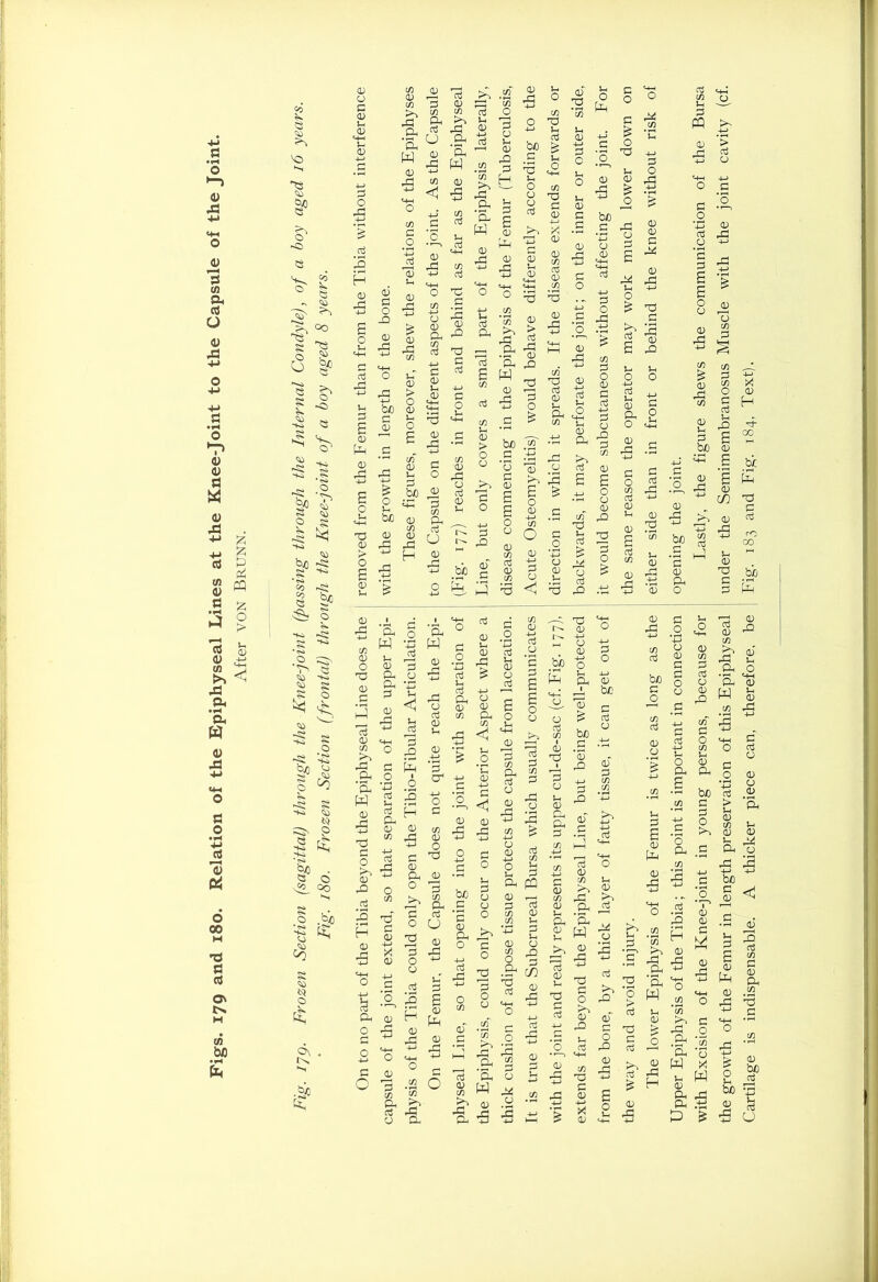 <u <u Ö a <D 4-> £ p Ph PQ p o > cö 0 « £ m ^5 Jp A a, W 0 .o Co p <ö 'O P <0 Cj §P S' <5 bo > ^ E bo <0 ■+H be to co 5$ CS o H— E o 8E *e» •■+<, ^ £ o E e 0> Si bo Pi p El 6 00 § .’^0 O 0 00 H •HH s<, 0 E T3 bQ p rt O' 03 0 ,hh H E in bfl E • 1? c/3 0 C/3 >1 PP Ph 0 Ph W p c/3 Ph P CJ 0 P O <3 O PP be a 0 cti 0 C/3 o3 5h PP 13 Ph -J-» oj 'E ’ 1 w ^C/3 0 pp 4-J ’c/3 EE &1 c ’IS g d 4-> C/3 c d 0 « 2 fp p-h P 0 c< 0 pp P H be c c/3 TP )h aj P. O E Ph PP W _ 0 PP 0 [PP 0 PP 0 pp o u be C/3 0 Sh p be 0 TP 0 > o E 0 0 pp +-> 'S p C/3 Ph P u C/3 0 PP 0 P 0 Jh C/3 ■73 p 0 0 Ph CO be £ p ±i pp 0 p ' - PP C/3 o 0 0 CO 0 CO TP Ph P fe 0 .&> p e E Pd 0 p pp on 0 p & EE c/3 T! 0 TP 4-J p u 0 0) pp p: 4-J 0 & u Jh 0 0 4-J oj u Cl) 4-J G p. 0 0 <4-1 0) E3 _P 4-» JE P O d c^ pp d 4-J CD Jh <D 0 2 £ C/3 d C/3 u <D 0 pp i§ 4-J CD 0 pp Ph w Ph w p TP Ph m 0 PP 0 1-1 0 PP h-P TP I'- 0 0 PP S-i < P 0 CO PP Ph P 1h P Ph P _be E o Pi Ph Ph W 0 hP TP P £ E ■ o iS H 0 •B 0 Ph CO <1 be SP o p a 0 TP c <1 Ph <« P P 0 be p '0 pp 0 pp 0 pp 0 pp > u 0 Ph Ph f rb> E -5 0 p ^ 0 Ph 0 PP P •>, CO hP“ Ph H P3 P 0 P CJ be p 0 pp CO Ph PQ 0 Ph 0) 2 E 5 H d EE 03 EE Cj d 03 u G Vh O E^ G C/3 g3 c/3 E3 EE Jh G 03 EE c (D C/3 0) J-H _ EE EE u <v oj EE w ^ 2 3 ^ CD Eh b .2 P CO •E .S P=l TP P O >1 TP £  O > -c P Ph 'E W P o .22 O c/3 I CD .5 .2 ’c/3 .2 d +j c E5 u CL* O TP P 1—H *13 P Ph 'Ph i£ c/3 l-J CJ 03 3h 0 0 PP d C/3 O PP 0 P <P 03 c^ Ph W 0 ■5 EE O 15 4-J It is 1 4-J -P '1 G 03 4-J X 03 £ 0 M- the w pp H Upper Epiphysis of the Tibia; this point is important in connection opening the joint. with Excision of the Knee-joint in young persons, because for Lastly, the figure shews the communication of the Bursa the growth of the Femur in length preservation of this Epiphyseal under the Semimembranosus Muscle with the joint cavity (cf. Cartilage is indispensable. A thicker piece can, therefore, be Fig. 183 and Fig. 184, Text).