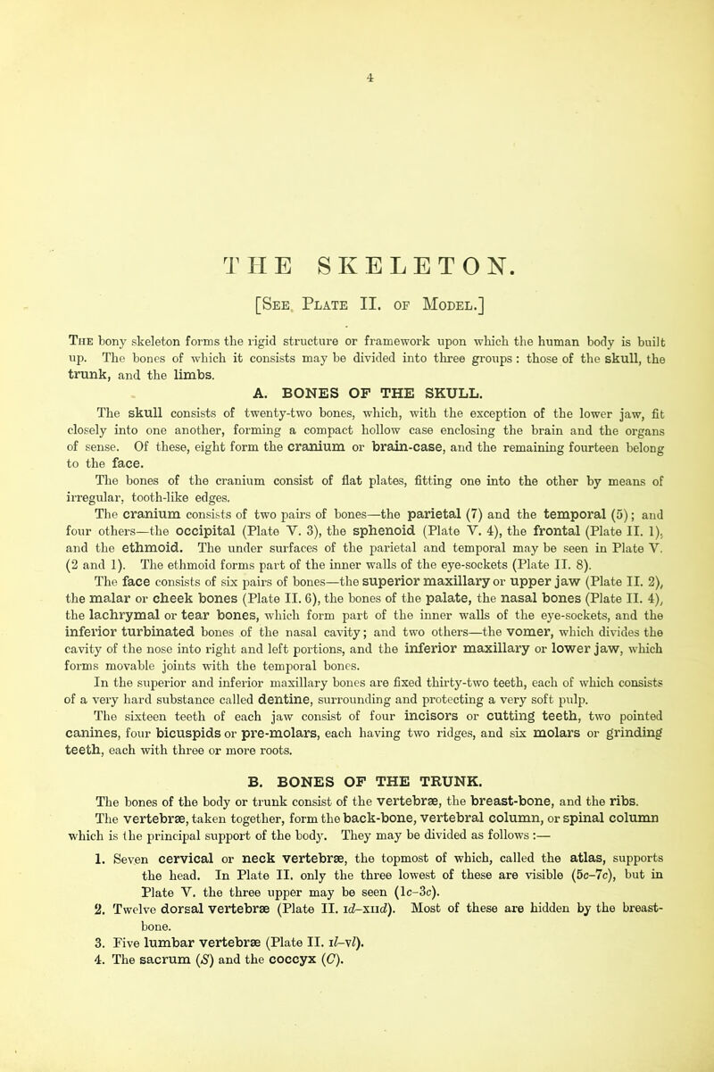 THE SKELETON. [See Plate II. of Model.] The bony skeleton forms the rigid structure or framework upon which the human body is built up. The bones of which it consists may be divided into three groups : those of the skull, the trunk, and the limbs. A. BONES OF THE SKULL. The skull consists of twenty-two bones, which, with the exception of the lower jaw, fit closely into one another, forming a compact hollow case enclosing the brain and the organs of sense. Of these, eight form the cranium or brain-case, and the remaining fourteen belong to the face. The bones of the cranium consist of flat plates, fitting one into the other by means of irregular, tooth-like edges. Tlie cranium consists of two pairs of bones—the parietal (7) and the temporal (5); and four others—the occipital (Plate V. 3), the sphenoid (Plate V. 4), the frontal (Plate II. 1), and the ethmoid. The under surfaces of the parietal and temporal may be seen in Plate V, (2 and 1). The ethmoid forms part of the inner walls of the eye-sockets (Plate II. 8). The face consists of six pairs of bones—the superior maxillary or upper jaw (Plate II. 2), the malar or cheek bones (Plate II. 6), the bones of the palate, the nasal bones (Plate II. 4), the lachrymal or tear bones, which form part of the inner walls of the eye-sockets, and the inferior turbinated bones of the nasal cavity; and two others—the vomer, which divides the cavity of the nose into right and left portions, and the inferior maxillary or lower jaw, which forms movable joints with the temporal bones. In the superior and inferior maxillary bones are fixed thmty-two teeth, each of which consists of a very hard substance called dentine, surrounding and protecting a very soft pulp. The sixteen teeth of each jaw consist of four incisors or cutting teeth, two pointed canines, four bicuspids or pre-molars, each having two ridges, and six molars or grinding teeth, each with three or more roots. B. BONES OP THE TRUNK. The bones of the body or trunk consist of the vertebrae, the breast-bone, and the ribs. The vertebrae, taken together, form the back-bone, vertebral column, or spinal column which is the principal support of the body. They may be divided as follows :— 1. Seven cervical or neck vertebrae, the topmost of which, called the atlas, supports the head. In Plate II. only the three lowest of these are visible (5c-7c), but in Plate V. the three upper may be seen (lc-3c). 2. Twelve dorsal vertebrae (Plate II. ic^-xiid). Most of these are hidden by the breast- bone. 3. Five lumbar vertebrae (Plate II. il-yl). 4. The sacrum {S) and the coccyx ((7).