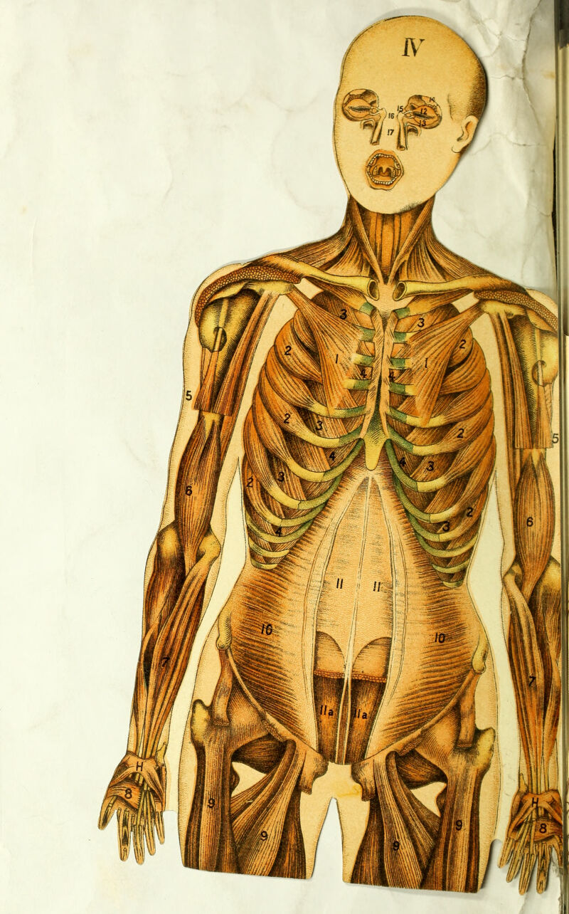 No text description is available for this image