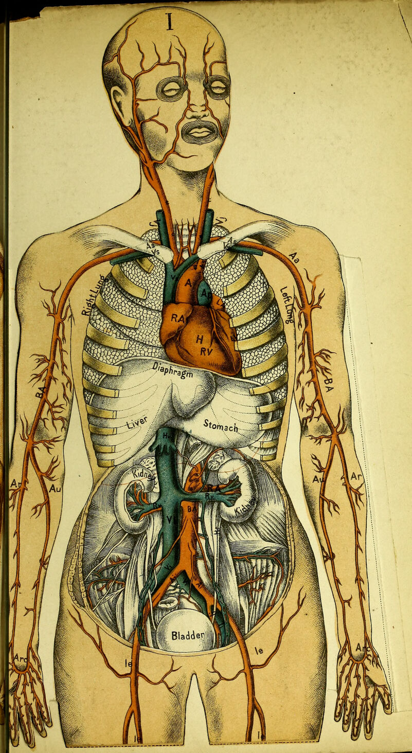 No text description is available for this image