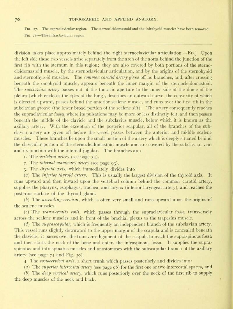 Fig. 27.—The supraclavicular region. The sternocleidomastoid and the infrahyoid muscles have been removed. Fig. 28.—The infraclavicular region. division takes place approximately behind the right sternoclavicular articulation.^Eü.] Upon the left side these two vessels arise separately from the arch of the aorta behind the junction of the first rib with the sternum in this region; they are also covered by both portions of the sterno- cleidomastoid muscle, by the sternoclavicular articulation, and by the origins of the sternohyoid and sternothyroid muscles. The common carotid artery gives off no branches, and, after crossing beneath the omohyoid muscle, appears beneath the inner margin of the sternocleidomastoid. The subclavian artery passes out of the thoracic aperture to the inner side of the dome of the pleura (which encloses the apex of the lung), describes an outward curve, the convexity of which is directed upward, passes behind the anterior scalene muscle, and runs over the first rib in the subclavian groove (the lower broad portion of the scalene slit). The artery consequently reaches the supraclavicular fossa, where its pulsations may be more or less distinctly felt, and then passes beneath the middle of the clavicle and the subclavius muscle, below which it is known as the axillary artery. With the exception of the posterior scapular, all of the branches of the sub- clavian artery are given off before the vessel passes between the anterior and middle scalene muscles. These branches lie upon the small portion of the artery which is deeply situated behind the clavicular portion of the sternocleidomastoid muscle and are covered by the subclavian vein and its junction with the internal jugular. The branches are: 1. The vertebral artery (see page 34). 2. The internal mammary artery (see page 93). 3. The thyroid axis, which immediately divides into: (a) The inferior thyroid artery. This is usually the largest division of the thyroid axis. It runs upward and then inward upon the vertebral column behind the common carotid artery, supplies the pharynx, esophagus, trachea, and larynx (inferior laryngeal artery), and reaches the posterior surface of the thyroid gland. (b) The ascending cervical, which is often very small and runs upward upon the origins of the scalene muscles. (c) The transversalis colli, which passes through the supraclavicular fossa transversely across the scalene muscles and in front of the brachial plexus to the trapezius muscle. (d) The suprascapular, which is frequently an independent branch of the subclavian artery. This vessel runs slightly downward to the upper margin of the scapula and is concealed beneath the clavicle; it passes over the transverse ligament of the scapula to reach the supraspinous fossa and then skirts the neck of the bone and enters the infraspinous fossa. It supplies the supra- spinatus and infraspinatus muscles and anastomoses with the subscapular branch of the axillary artery (see page 74 and Fig. 30). 4. The costocervical axis, a short trunk which passes posteriorly and divides into: (a) The superior intercostal artery (see page 96) for the first one or two intercostal spaces, and (b) The deep cervical artery, which runs posteriorly over the neck of the first rib to supply the deep muscles of the neck and back.