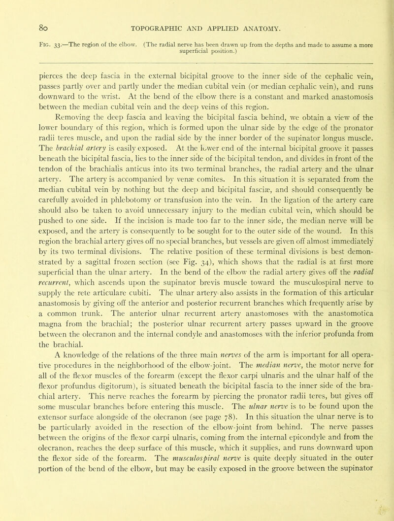 Fig. 33.—The region of the elbow. (The radial nerve has been drawn up from the depths and made to assume a more superficial position.) pierces the deep fascia in the external bicipital groove to the inner side of the cephalic vein, passes partly over and partly under the median cubital vein (or median cephalic vein), and runs downward to the wrist. At the bend of the elbow there is a constant and marked anastomosis between the median cubital vein and the deep veins of this region. Removing the deep fascia and leaving the bicipital fascia behind, we obtain a view of the lower boundary of this region, which is formed upon the ulnar side by the edge of the pronator radii teres muscle, and upon the radial side by the inner border of the supinator longus muscle. The brachial artery is easily exposed. At the lower end of the internal bicipital groove it passes beneath the bicipital fascia, lies to the inner side of the bicipital tendon, and divides in front of the tendon of the brachialis anticus into its two terminal branches, the radial artery and the ulnar artery. The artery is accompanied by venae comites. In this situation it is separated from the median cubital vein by nothing but the deep and bicipital fasciae, and should consequently be carefully avoided in phlebotomy or transfusion into the vein. In the ligation of the artery care should also be taken to avoid unnecessary injury to the median cubital vein, which should be pushed to one side. If the incision is made too far to the inner side, the median nerve will be exposed, and the artery is consequently to be sought for to the outer side of the wound. In this region the brachial artery gives off no special branches, but vessels are given off almost immediately by its two terminal divisions. The relative position of these terminal divisions is best demon- strated by a sagittal frozen section (see Fig. 34), which shows that the radial is at first more superficial than the ulnar artery. In the bend of the elbow the radial artery gives off the radial recurrent, which ascends upon the supinator brevis muscle toward the musculospiral nerve to supply the rete articulare cubiti. The ulnar artery also assists in the formation of this articular anastomosis by giving off the anterior and posterior recurrent branches which frequently arise by a common trunk. The anterior ulnar recurrent artery anastomoses with the anastomotica magna from the brachial; the posterior ulnar recurrent artery passes upward in the groove between the olecranon and the internal condyle and anastomoses with the inferior profunda from the brachial. A knowledge of the relations of the three main nerves of the arm is important for all opera- tive procedures in the neighborhood of the elbow-joint. The median nerve, the motor nerve for all of the flexor muscles of the forearm (except the flexor carpi ulnaris and the ulnar half of the flexor profundus digitorum), is situated beneath the bicipital fascia to the inner side of the bra- chial artery. This nerve reaches the forearm by piercing the pronator radii teres, but gives off some muscular branches before entering this muscle. The ulnar nerve is to be found upon the extensor surface alongside of the olecranon (see page 78). In this situation the ulnar nerve is to be particularly avoided in the resection of the elbow-joint from behind. The nerve passes between the origins of the flexor carpi ulnaris, coming from the internal epicondyle and from the olecranon, reaches the deep surface of this muscle, which it supplies, and runs downward upon the flexor side of the forearm. The musculospiral nerve is quite deeply situated in the outer portion of the bend of the elbow, but may be easily exposed in the groove between the supinator