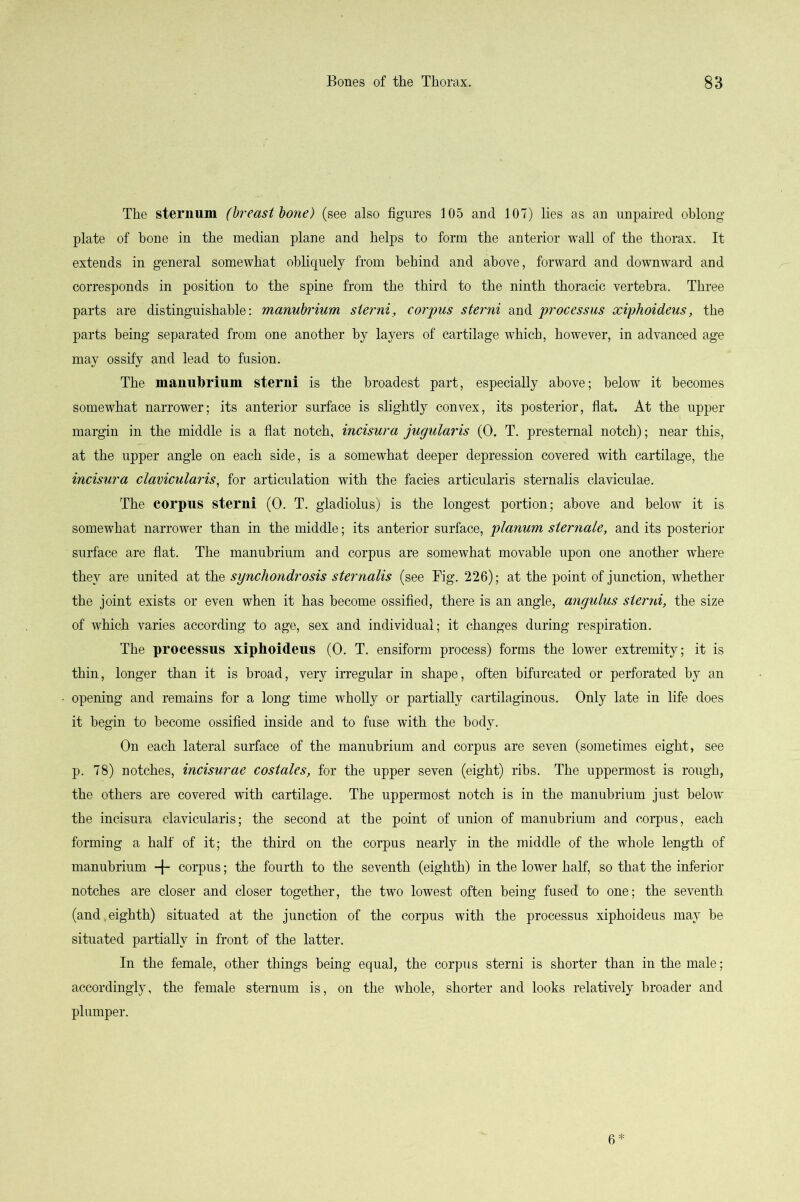The sternum (breast bone) (see also figures 105 and 107) lies as an unpaired oblong plate of hone in the median plane and helps to form the anterior wall of the thorax. It extends in general somewhat obliquely from behind and above, forward and downward and corresponds in position to the spine from the third to the ninth thoracic vertebra. Three parts are distinguishable; manubrium sierni, corpus sterni and processus xiphoideus, the parts being separated from one another by layers of cartilage which, however, in advanced age may ossify and lead to fusion. The manubrium sterni is the broadest part, especially above; below it becomes somewhat narrower; its anterior surface is slightly convex, its posterior, flat. At the upper margin in the middle is a flat notch, incisura jugularis (0. T. presternal notch); near this, at the upper angle on each side, is a somewhat deeper depression covered with cartilage, the incisura clavicularis, for articulation with the facies articularis sternalis claviculae. The corpus sterni (0. T. gladiolus) is the longest portion; above and below it is somewhat narrower than in the middle; its anterior surface, planum siernale, and its posterior surface are flat. The manubrium and corpus are somewhat movable upon one another where they are united at the synchondrosis sternalis (see Fig. 226); at the point of junction, whether the joint exists or even when it has become ossified, there is an angle, angulus sterni, the size of which varies according to age, sex and individual; it changes during respiration. The processus xiphoideus (0. T. ensiform process) forms the lower extremity; it is thin, longer than it is broad, very irregular in shape, often bifurcated or perforated by an opening and remains for a long time wholly or partially cartilaginous. Only late in life does it begin to become ossified inside and to fuse with the body. On each lateral surface of the manubrium and corpus are seven (sometimes eight, see p. 78) notches, incisurae costales, for the upper seven (eight) ribs. The uppermost is rough, the others are covered with cartilage. The uppermost notch is in the manubrium just below the incisura clavicularis; the second at the point of union of manubrium and corpus, each forming a half of it; the third on the corpus nearly in the middle of the whole length of manubrium + corpus; the fourth to the seventh (eighth) in the lower half, so that the inferior notches are closer and closer together, the two lowest often being fused to one; the seventh (and,eighth) situated at the junction of the corpus with the processus xiphoideus may he situated partially in front of the latter. In the female, other things being equal, the corpus sterni is shorter than in the male; accordingly, the female sternum is, on the whole, shorter and looks relatively broader and plumper. 6*