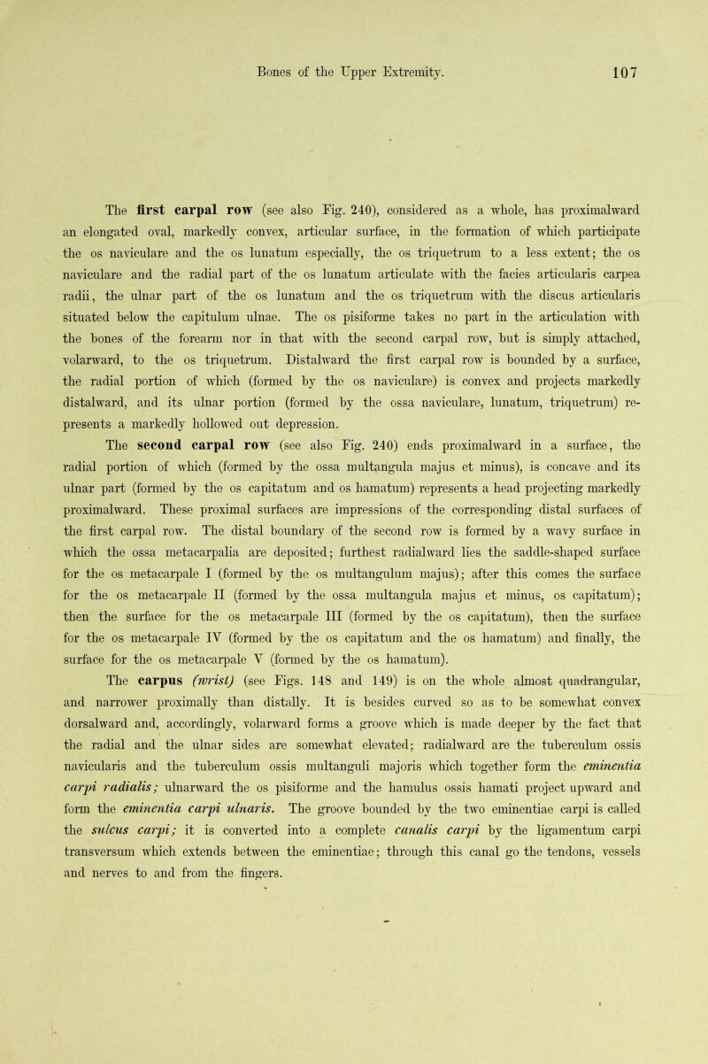 The first carpal row (see also Fig. 240), considered as a whole, has proximalward an elongated oval, markedly convex, articular surface, in the formation of which participate the os naviculare and the os lunatum especially, the os triquetrum to a less extent; the os naviculare and the radial part of the os lunatum articulate with the facies articularis carpea radii, the ulnar part of the os lunatum and the os triquetrum with the discus articularis situated helow the capitulum ulnae. The os pisiforme takes no part in the articulation with the hones of the forearm nor in that with the second carpal row, hut is simply attached, volarward, to the os triquetrum. Distalward the first carpal row is hounded by a surface, the radial portion of which (formed hy the os naviculare) is convex and projects markedly distalward, and its ulnar portion (formed by the ossa naviculare, lunatum, triquetrum) re- presents a markedly hollowed out depression. The second carpal row (see also Fig. 240) ends proximalward in a surface, the radial portion of which (formed hy the ossa multangula majus et minus), is concave and its ulnar part (formed hy the os capitatum and os hamatum) represents a head projecting markedly proximalward. These proximal surfaces are impressions of the corresponding distal surfaces of the first carpal row. The distal boundary of the second row is formed hy a wavy surface in which the ossa metacarpalia are deposited; furthest radialward lies the saddle-shaped surface for the os metacarpale I (formed hy the os multangulum majus); after this comes the surface for the os metacarpale II (formed hy the ossa multangula majus et minus, os capitatum); then the surface for the os metacarpale III (formed by the os capitatum), then the surface for the os metacarpale IV (formed hy the os capitatum and the os hamatum) and finally, the surface for the os metacarpale Y (formed by the os hamatum). The carpus (wrist) (see Figs. 148 and 149) is on the whole almost quadrangular, and narrower proximally than distally. It is besides curved so as to he somewhat convex dorsalward and, accordingly, volarward forms a groove which is made deeper hy the fact that the radial and the ulnar sides are somewhat elevated; radialward are the tuberculum ossis navicularis and the tuberculum ossis multanguli majoris which together form the eminentia carpi radialis; ulnarward the os pisiforme and the hamulus ossis hamati project upward and form the eminentia carpi ulnaris. The groove bounded hy the two eminentiae carpi is called the sulcus carpi; it is converted into a complete canalis carpi by the ligamentum carpi transversum which extends between the eminentiae; through this canal go the tendons, vessels and nerves to and from the fingers.