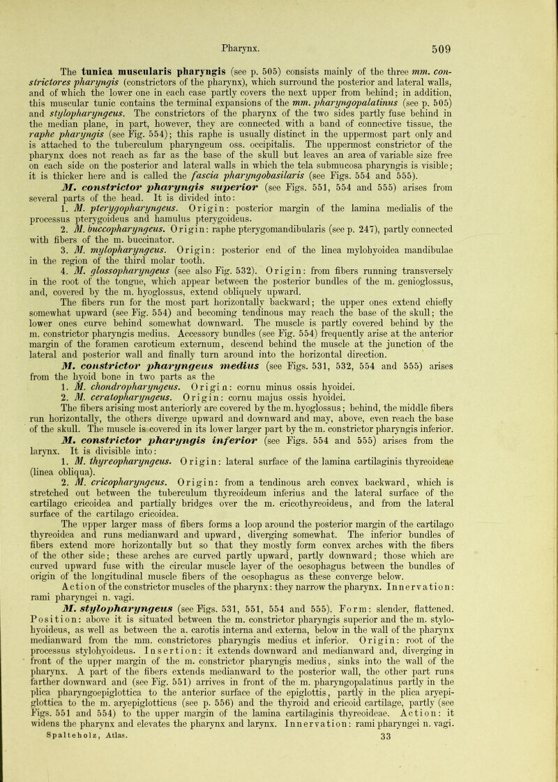 The tunica muscularis pharyngis (see p. 505) consists mainly of the three mm. con- slrictores -pliaryngis (constrictors of the pharynx), which surround the posterior and lateral walls, and of which the lower one in each case partly covers the next upper from behind; in addition, this muscular tunic contains the terminal expansions of the mm. pharyngopalatinus (see p. 505) and stylopharyngeus. The constrictors of the pharynx of the two sides partly fuse behind in the median plane, in part, however, they are connected with a band of connective tissue, the raphe pharyngis (see Fig. 554); this raphe is usually distinct in the uppermost part only and is attached to the tuberculum pharyngeum oss. occipitalis. The uppermost constrictor of the pharynx does not reach as far as the base of the skull but leaves an area of variable size free on each side on the posterior and lateral walls in which the tela submucosa pharyngis is visible; it is thicker here and is called the fascia pharyngohasilaris (see Figs. 554 and 555). M. constrictor pharyngis superior (see Figs. 551, 554 and 555) arises from several parts of the head. It is divided into; 1. M. pterygopharyngeus. Origin: posterior mai’gin of the lamina medialis of the processus pterygoideus and hamulus pterygoideus. 2. M. buccopharyngeus. Origin: raphe pterygomandibularis (seep. 247), partly connected with fibers of the m. buccinator. 3. M. mylopharyngeus. Origin: posterior end of the linea mylohyoidea mandibulae in the region of the third molar tooth. 4. M. glossopharyngeus (see also Fig. 532). Origin: from fibers running transversely in the root of the tongue, which appear between the posterior bundles of the m. genioglossus, and, covered by the m. hyoglossus, extend obliquely upward. The fibers run for the most part horizontally backward; the upper ones extend chiefly somewhat upward (see Fig. 554) and becoming tendinous may reach the base of the skull; the lower ones curve behind somewhat downward. The muscle is partly covered behind by the m. constrictor pharyngis medius. Accessory bundles (see Fig. 554) frequently arise at the anterior margin of the foramen caroticum externum, descend behind the muscle at the junction of the lateral and posterior wall and finally turn around into the horizontal direction. M. constrictor pharyngeus medius (see Figs. 531, 532, 554 and 555) arises from the hyoid bone in two parts as the 1. M. chondropharyngeus. Origin: cornu minus ossis hyoidei. 2. M. ceratopharyngeus. Origin: cornu majus ossis hyoidei. The fibers arising most anteriorly are covered by the m. hyoglossus; behind, the middle fibers run horizontally, the others diverge upward and downward and may, above, even reach the base of the skull. The muscle is covered in its lower larger part by the m. constrictor pharyngis inferior. M, constrictor pharyngis inferior (see Figs. 554 and 555) arises from the larynx. It is divisible into: 1. M. ihyreopharyngeus. Origin: lateral surface of the lamina cartilaginis thyreoideae (linea ohliqua). 2. M. cricopharyngeus. Origin: from a tendinous arch convex backward, which is stretched out between the tuberculum thyreoideum inferius and the lateral surface of the cartilage cricoidea and partially bridges over the m. cricothyreoideus, and from the lateral surface of the cartilage cricoidea. The upper larger mass of fibers forms a loop around the posterior margin of the cartilage thyreoidea and runs medianward and upward, diverging somewhat. The inferior bundles of fibers extend more horizontally but so that they mostly form convex arches with the fibers of the other side; these arches are curved partly upward, partly downward; those which are curved upward fuse with the circular muscle layer of the oesophagus between the bundles of origin of the longitudinal muscle fibers of the oesophagus as these converge below. A c t i 0 n of the constrictor muscles of the pharynx: they narrow the pharynx. Innervation; rami pharyngei n. vagi. M. stylopharyngeus (see Figs. 531, 551, 554 and 555). Form: slender, flattened. Position; above it is situated between the m. constrictor pharyngis superior and the m. stylo- hyoideus, as well as between the a. carotis interna and externa, below in the wall of the pharynx medianward from the mm. constrictores pharyngis medius et inferior. Origin: root of the processus stylohyoideus. lasertion: it extends downward and medianward and, diverging in front of the upper margin of the m. constrictor pharyngis medius, sinks into the wall of the pharynx. A part of the fibers extends medianward to the posterior wall, the other part runs farther downward and (see Fig. 551) arrives in front of the m. pharyngopalatinus partly in the plica pharyngoepiglottica to the anterior surface of the epiglottis, partly in the plica aryepi- glottica to the m. aryepiglotticus (see p. 556) and the thyroid and cricoid cartilage, partly (see Figs. 551 and 554) to the upper margin of the lamina cartilaginis thyreoideae. Action: it widens the pharynx and elevates the pharynx and larynx. Innervation: rami pharyngei n. vagi. Spalteholz, Atlas. 33