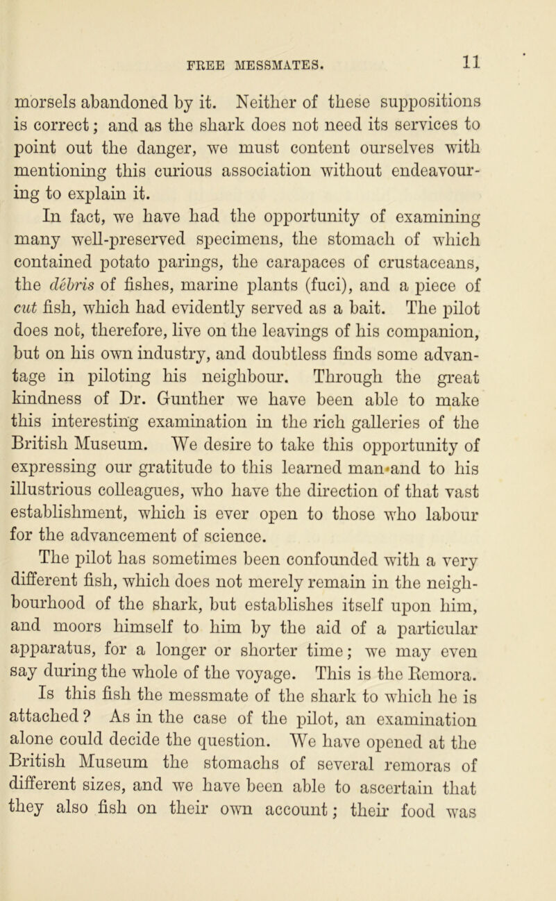 morsels abandoned by it. Neither of tliese suppositions is correct ; and as tlie sbark does not need its services to point out the danger, we must content ourselves witli mentioning this curious association witîiout endeavour- ing to explain it. In fact, we bave liad the opportunity of examining many well-preserved specimens, the stomach of which contained potato parings, the carapaces of crustaceans, the débris of fishes, marine plants (fuci), and a piece of eut fish, which had evidently served as a hait. The pilot does nofc, therefore, live on the leavings of his companion, but on his own industry, and doubtless finds some advan- tage in piloting his neighbour. Through the great kindness of Dr. Gunther we hâve been able to make this interesting examination in the rich galleries of the British Muséum. We desire to take this opportunity of expressing our gratitude to this learned man*and to his illustrious colleagues, who hâve the direction of that vast establishment, which is ever open to those who labour for the advancement of science. The pilot bas sometimes been confounded with a very different fish, which does not merely remain in the neigh- bourhood of the shark, but establishes itself upon him, and moors himself to him by the aid of a paidicular apparatus, for a longer or shorter time ; we may even say during the whole of the voyage. This is the Eemora. Is this fish the messmate of the shark to which lie is attached ? As in the case of the pilot, an examination alone could décidé the question. We bave opened at the British Muséum the stomachs of several rémoras of different sizes, and we hâve been able to ascertain that they also fish on their own account ; their food was