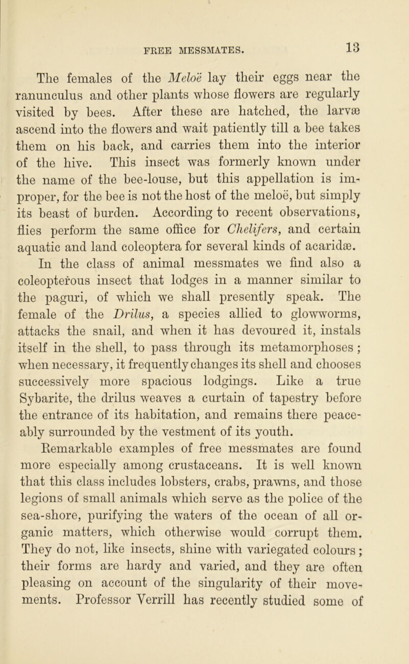 The females of tlie Melo'é lay their eggs near the ranunculus and otlier plants whose flowers are regularly visited by hees. After tliese are hatched, the larvæ ascend into the flowers and wait patiently till a bee takes them on his back, and carries them into the interior of the hive. This insect was formerly known under the name of the hee-louse, but this appellation is im- proper, for the bee is not the host of the meloë, but simply its beast of burden. According to recent observations, Aies perform the same office for Chelifers, and certain aquatic and land coleoptera for several kinds of acaridæ. In the class of animal messmates we find also a coleopterous insect that lodges in a manner similar to the pagnri, of which we shall presently speak. The female of the Drilus, a species allied to glowworms, attacks the snail, and when it has devoured it, instals itself in the shell, to pass through its métamorphosés ; when necessary, it frequently changes its shell and chooses snccessively more spacious lodgings. Like a true Sybarite, the drilus weaves a curtain of tapestry hefore the entrance of its habitation, and remains there peace- ahly surrounded by the vestment of its youth. Kemarkahle examples of free messmates are found more especially among crustaceans. It is well known that this class includes lohsters, crahs, prawns, and those légions of small animais which serve as the police of the sea-shore, purifying the waters of the océan of ail or- ganic matters, which otherwise would corrupt them. They do not, like insects, shine with variegated coloirrs ; their forms are hardy and varied, and they are often pleasing on account of the singularity of their move- ments. Professer Verrill has recently studied some of