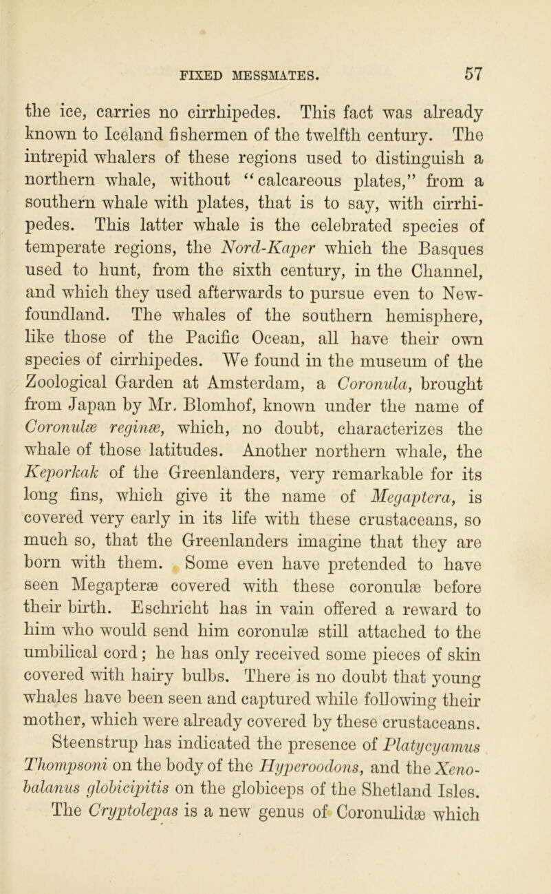 tlie ice, carries no cirrhipedes. This fact was already known to Iceland fi shermen of the twelfth century. The intrepid whalers of tliese régions used to distinguish a northern whale, without ‘‘calcareous plates,” from a Southern whale with plates, that is to say, with cirrhi- pedes. This latter whale is the celebrated species of temperate régions, the Nord-Kaper which the Basques used to hunt, from the sixth century, in the Channel, and which they used afterwards to pur sue even to New^- foundland. The whales of the Southern hemisphere, like those of the Pacific Océan, ail hâve their own species of cirrhipedes. We found in the muséum of the Zoological Garden at Amsterdam, a Coronula, brought from Japan by Mr. Blomhof, known under the name of Coronidæ reginæ, which, no doubt, characterizes the whale of those latitudes. Another northern whale, the Keporkak of the Greenlanders, very remarkahle for its long fins, which give it the name of Megaptera, is covered very early in its life with these crustaceans, so much so, that the Greenlanders imagine that they are born with them. Some even hâve pretended to hâve seen Megapteræ covered with these coronulæ hefore their birth. Eschricht lias in vain offered a reward to him who would send him coronulæ still attached to the umhilical cord ; he bas only received some pièces of skin covered with hairy hulbs. There is no douht that young whales bave been seen and captured while fohowing their mother, which were already covered hy these crustaceans. Steenstrup has indicated the presence of Platgcgamus Thompsoni on the body of the Hyperoodons, and the Xeno- halanus glohicipitis on the glohiceps of the Shetland Isles. The Cryptolepas is a new genus of Coronulidæ which