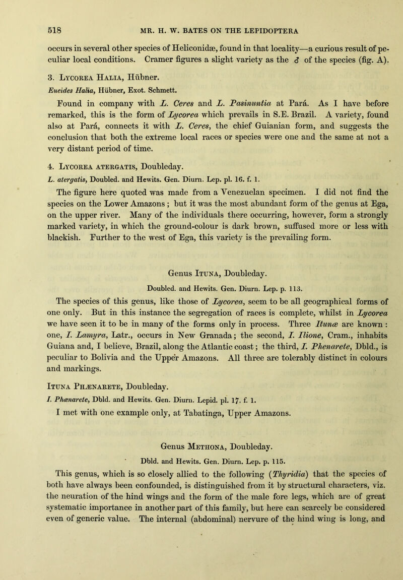 occurs in several other species of Heliconidae, found in that locality—a curious result of pe- culiar local conditions. Cramer figures a slight variety as the S of the species (fig. A). 3. Lycorea Halia, Hubner. Eueides Halia, Hubner, Exot. Schmett. Found in company with L. Ceres and L. Pasimmtia at Para. As I have before remarked, this is the form of Lycorea which prevails in S.E. Brazil. A variety, found also at Para, connects it with L. Ceres, the chief Guianian form, and suggests the conclusion that both the extreme local races or species were one and the same at not a very distant period of time. 4. Lycorea atergatis, Doubleday. L. atergatis, Doubled, and Hewits. Gen. Diurn. Lep. pi. 16. f. 1. The figure here quoted was made from a Venezuelan specimen. I did not find the species on the Lower Amazons ; hut it was the most abundant form of the genus at Ega, on the upper river. Many of the individuals there occurring, however, form a strongly marked variety, in which the ground-colour is dark brown, suffused more or less with blackish. Further to the west of Ega, this variety is the prevailing form. Genus Ituna, Doubleday. Doubled, and Hewits. Gen. Diurn. Lep. p. 113. The species of this genus, like those of Lycorea, seem to be all geographical forms of one only. But in this instance the segregation of races is complete, whilst in Lycorea we have seen it to be in many of the forms only in process. Three Itunce are known : one, I. Lamyra, Latr., occurs in New Granada; the second, I. Ilione, Cram., inhabits Guiana and, I believe, Brazil, along the Atlantic coast; the third, I. Lhenarete, Dbld., is peculiar to Bolivia and the Upper Amazons. All three are tolerably distinct in colours and markings. Ituna Ph^narete, Doubleday. I. Phcenarete, Dbld. and Hewits. Gen. Diurn. Lepid. pi. 17. f. 1. I met with one example only, at Tabatinga, Upper Amazons. Genus Methona, Doubleday. Dbld. and Hewits. Gen. Diurn. Lep. p. 115. This genus, which is so Closely allied to the following (Thyridia) that the species of both have always been confounded, is distinguished from it by structural characters, viz. the neuration of the hind wings and the form of the male fore legs, which are of great systematic importance in another part of this family, but here can scarcely be considered even of generic value. The internal (abdominal) nervure of the hind wing is long, and