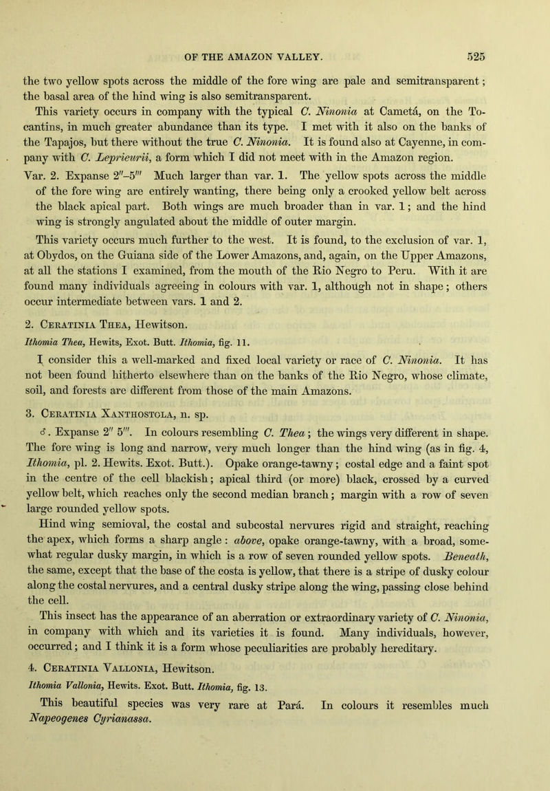 the two yellow spots across the middle of the fore wing are pale and semitransparent; the basal area of the hind wing is also semitransparent. This variety occurs in company with the typical C. Ninonia at Cameta, on the To- cantins, in much greater abundance than its type. I met with it also on the banks of the Tapajos, but there without the true C. Ninonia. It is found also at Cayenne, in com- pany with C. Leprieurii, a form which I did not meet with in the Amazon region. Yar. 2. Expanse 2-5m Much larger than var. 1. The yellow spots across the middle of the fore wing are entirely wanting, there being only a crooked yellow belt across the black apical part. Both wings are much broader than in var. 1; and the hind wing is strongly angulated about the middle of outer margin. This variety occurs much further to the west. It is found, to the exclusion of var. 1, at Obydos, on the Guiana side of the Lower Amazons, and, again, on the Upper Amazons, at all the stations I examined, from the mouth of the Bio Negro to Peru. With it are found many individuals agreeing in colours with var. 1, although not in shape; others occur intermediate between vars. 1 and 2. 2. Ceratinia Thea, Hewitson. Ithomia Thea, Hewits, Exot. Butt. Ithomia, fig. 11. I consider this a well-marked and fixed local variety or race of C. Ninonia. It has not been found hitherto elsewhere than on the banks of the Bio Negro, whose climate, soil, and forests are different from those of the main Amazons. 3. Ceratinia Xanthostola, n. sp. S. Expanse 2 In colours resembling C. Tliea; the wings very different in shape. The fore wing is long and narrow, very much longer than the hind wing (as in fig. 4, Ithomia, pi. 2. Hewits. Exot. Butt.). Opake orange-tawny; costal edge and a faint spot in the centre of the cell blackish; apical third (or more) black, crossed by a curved yellow belt, which reaches only the second median branch; margin with a row of seven large rounded yellow spots. Hind wing semioval, the costal and subcostal nervures rigid and straight, reaching the apex, which forms a sharp angle : above, opake orange-tawny, with a broad, some- what regular dusky margin, in which is a row of seven rounded yellow spots. Beneath, the same, except that the base of the costa is yellow, that there is a stripe of dusky colour along the costal nervures, and a central dusky stripe along the wing, passing close behind the cell. This insect has the appearance of an aberration or extraordinary variety of C. Ninonia, in company with which and its varieties it is found. Many individuals, however, occurred; and I think it is a form whose peculiarities are probably hereditary. 4. Ceratinia Vallonia, Hewitson. Ithomia Vallonia, Hewits. Exot. Butt. Ithomia, fig. 13. This beautiful species was very rare at Para. In colours it resembles much Napeogenes Cyrianassa.