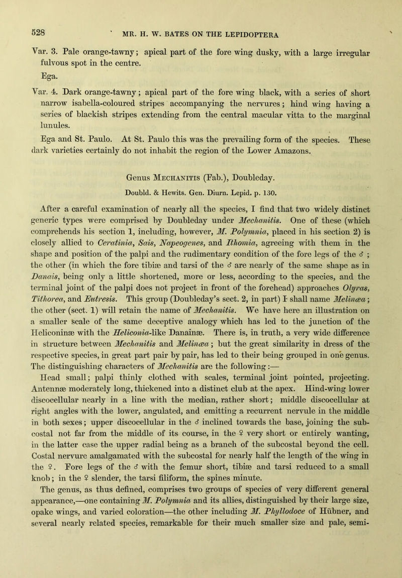 Var. 3. Pale orange-tawny; apical part of the fore wing dusky, with a large irregular fulvous spot in the centre. Ega. Var. 4. Dark orange-tawny; apical part of the fore wing black, with a series of short narrow isabella-coloured stripes accompanying the nervures; hind wing having a series of blackish stripes extending from the central macular vitta to the marginal lunules. Ega and St. Paulo. At St. Paulo this was the prevailing form of the species. These dark varieties certainly do not inhabit the region of the Lower Amazons. Genus Mechanitis (Eab.), Doubleday. Doubld. & Hewits. Gen. Diurn. Lepid. p. 130. After a careful examination of nearly all the species, I find that two widely distinct generic types were comprised by Doubleday under Mechanitis. One of these (which comprehends his section 1, including, however, M. Polymnia, placed in his section 2) is closely allied to Ceratinia, Sais, Napeogenes, and Ithomia, agreeing with them in the shape and position of the palpi and the rudimentary condition of the fore legs of the d ; the other (in which the fore tihise and tarsi of the <5 are nearly of the same shape as in Danais, being only a little shortened, more or less, according to the species, and the terminal joint of the palpi does not project in front of the forehead) approaches Olyras, Tithorea, and Eutresis. This group (Doubleday’s sect. 2, in part) I shall name Melincea; the other (sect. 1) will retain the name of Mechanitis. We have here an illustration on a smaller scale of the same deceptive analogy which has led to the junction of the Heliconinse with the MeliconiaMke Danainse. There is, in truth, a very wide difference in structure between Mechanitis and Melincea; but the great similarity in dress of the respective species, in great part pair by pair, has led to their being grouped in one genus. The distinguishing characters of Mechanitis are the following:— Head small; palpi thinly clothed with scales, terminal joint pointed, projecting. Antennae moderately long, thickened into a distinct club at the apex. Hind-wing lower discocellular nearly in a line with the median, rather short; middle discocellular at right angles with the lower, angulated, and emitting a recurrent nervule in the middle in both sexes; upper discocellular in the 6 inclined towards the base, joining the sub- costal not far from the middle of its course, in the ? very short or entirely wanting, in the latter case the upper radial being as a branch of the subcostal beyond the cell. Costal nervure amalgamated with the subcostal for nearly half the length of the wing in the $. Eore legs of the cJ with the femur short, tihise and tarsi reduced to a small knob; in the 2 slender, the tarsi filiform, the spines minute. The genus, as thus defined, comprises two groups of species of very different general appearance,—one containing M. Polymnia and its allies, distinguished by their large size, opake wings, and varied coloration—the other including M. Phyllodoce of Hiibner, and several nearly related species, remarkable for their much smaller size and pale, semi-