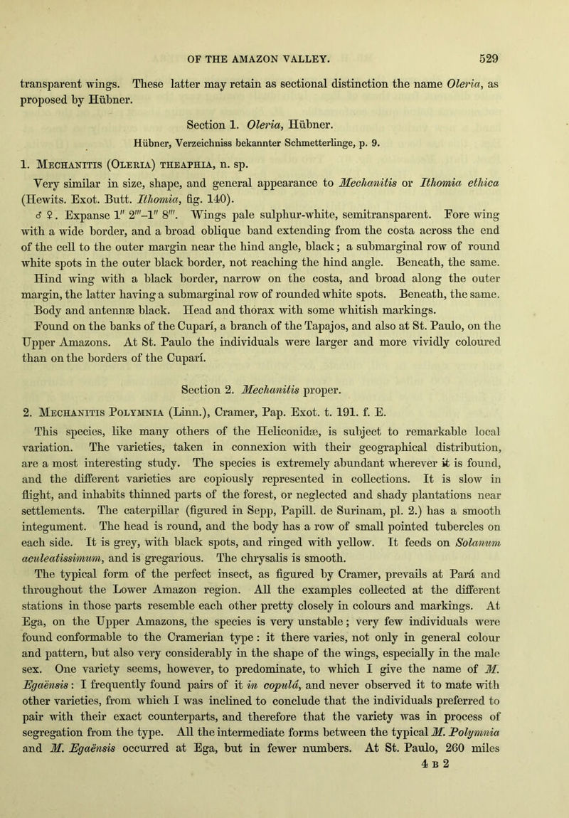 transparent wings. These latter may retain as sectional distinction the name Oleria, as proposed by Hubner. Section 1. Oleria, Hubner. Hubner, Verzeichniss bekannter Schmetterlinge, p. 9. 1. Mechanitis (Oleria) theaphia, n. sp. Very similar in size, shape, and general appearance to Mechanitis or Ithomia etliica (Hewits. Exot. Butt. Ithomia, fig. 140). c? $. Expanse 1 2'-l 8'. Wings pale sulphur-white, semitransparent. Eore wing with a wide border, and a broad oblique band extending from the costa across the end of the cell to the outer margin near the hind angle, black; a submarginal row of round white spots in the outer black border, not reaching the hind angle. Beneath, the same. Hind wing with a black border, narrow on the costa, and broad along the outer margin, the latter having a submarginal row of rounded white spots. Beneath, the same. Body and antennse black. Head and thorax with some whitish markings. Eound on the banks of the Cupari, a branch of the Tapajos, and also at St. Paulo, on the Upper Amazons. At St. Paulo the individuals were larger and more vividly coloured than on the borders of the Cupari. Section 2. Mechanitis proper. 2. Mechanitis Polymnia (Linn.), Cramer, Pap. Exot. t. 191. f. E. This species, like many others of the Heliconidse, is subject to remarkable local variation. The varieties, taken in connexion with their geographical distribution, are a most interesting study. The species is extremely abundant wherever it is found, and the different varieties are copiously represented in collections. It is slow in flight, and inhabits thinned parts of the forest, or neglected and shady plantations near settlements. The caterpillar (figured in Sepp, Papill. de Surinam, pi. 2.) has a smooth integument. The head is round, and the body has a row of small pointed tubercles on each side. It is grey, with black spots, and ringed with yellow. It feeds on Solanum aculeatissimum, and is gregarious. The chrysalis is smooth. The typical form of the perfect insect, as figured by Cramer, prevails at Para and throughout the Lower Amazon region. All the examples collected at the different stations in those parts resemble each other pretty closely in colours and markings. At Ega, on the Upper Amazons, the species is very unstable; very few individuals were found conformable to the Cramerian type : it there varies, not only in general colour and pattern, but also very considerably in the shape of the wings, especially in the male sex. One variety seems, however, to predominate, to which I give the name of M. Egaensis: I frequently found pairs of it in copula, and never observed it to mate with other varieties, from which I was inclined to conclude that the individuals preferred to pair with their exact counterparts, and therefore that the variety was in process of segregation from the type. All the intermediate forms between the typical M. Polymnia and M. Egaensis occurred at Ega, but in fewer numbers. At St. Paulo, 260 miles 4 b 2
