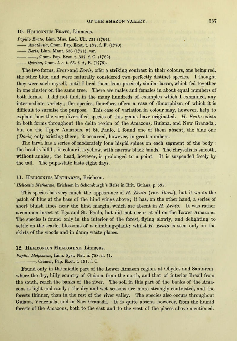 10. Heliconius Erato, Linnaeus. Papilio Erato, Linn. Mus. Lud. Ulr. 231 (1764). Amathusia, Cram. Pap. Exot. t. 177* f- F. (1770)’ Doris, Linn. Mant. 536 (1771)> var. , Cram. Pap. Exot. t. 337. f. C. (1782). Quirina, Cram. 1. c. t. 65. f. A, B. (1779). The two forms, Erato and Doris, offer a striking contrast in their colours, one being red, the other blue, and were naturally considered two perfectly distinct species. I thought they were such myself, until I bred them from precisely similar larvae, which fed together in one cluster on the same tree. There are males and females in about equal numbers of both forms. I did not find, in the many hundreds of examples which I examined, any intermediate variety; the species, therefore, offers a case of dimorphism of which it is difficult to surmise the purpose. This case of variation in colour may, however, help to explain how the very diversified species of this genus have originated. H. Erato exists in both forms throughout the delta region of the Amazons, Guiana, and New Granada; but on the Upper Amazons, at St. Paulo, I found one of them absent, the blue one {Doris) only existing there; it occurred, however, in great numbers. The larva has a series of moderately long hispid spines on each segment of the body : the head is bifid ; in colour it is yellow, with narrow black bands. The chrysalis is smooth, without angles; the head, however, is prolonged to a point. It is suspended freely by the tail. The pupa-state lasts eight days. 11. Heliconius Metharme, Erichson. Heliconia Metharme, Erichson in Schomburgk’s Reise in Brit. Guiana, p. 595. This species has very much the appearance of H. E)*ato (var. Doris), but it wants the patch of blue at the base of the hind wings above; it has, on the other hand, a series of short bluish lines near the hind margin, which are absent in H. Erato. It was rather a common insect at Ega and St. Paulo, but did not occur at all on the Lower Amazons. The species is found only in the interior of the forest, flying slowly, and delighting to settle on the scarlet blossoms of a climbing-plant; whilst H. Erato is seen only on the skirts of the woods and in damp waste places. 12. Heliconius Melpomene, Linnseus. Papilio Melpomene, Linn. Syst. Nat. ii. 758. n. 7L , Cramer, Pap. Exot. t. 191. f. C. Eound only in the middle part of the Lower Amazon region, at Obydos and Santarem, where the dry, hilly country of Guiana from the north, and that of interior Brazil from the south, reach the banks of the river. The soil in this part of the banks of the Ama- zons is light and sandy ; the dry and wet seasons are more strongly contrasted, and the forests thinner, than in the rest of the river valley. The species also occurs throughout Guiana, Venezuela, and in New Granada. It is quite absent, however, from the humid forests of the Amazons, both to the east and to the west of the places above mentioned.