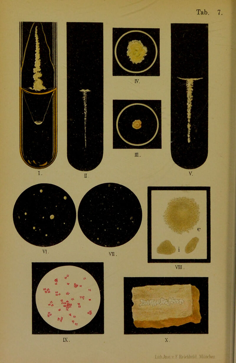 Tab. 7.