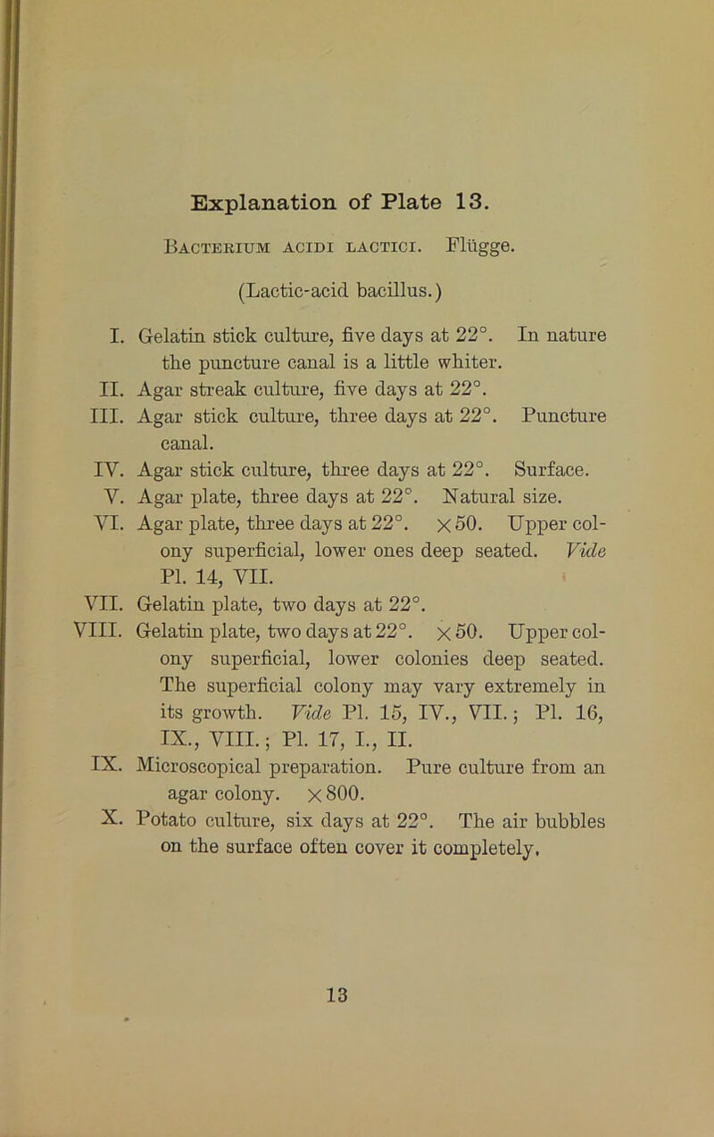 Bacterium acidi lactici. Plügge. (Lactic-acid bacillus.) I. Gelatin stick culture, five days at 22°. In nature tke piincture canal is a little wliiter. II. Agar streak culture, five days at 22°. III. Agar stick culture, tliree days at 22°. Puncture canal. IV. Agar stick culture, tliree days at 22°. Surface. V. Agar plate, tliree days at 22°. Natural size. VI. Agar plate, tliree days at 22°. x 50. Upper col- ouy superficial, lower oues deep seated. F-icle PI. 14, VII. VII. Gelatin plate, two days at 22°. VIII. Gelatin plate, two days at 22°. x50. Upper col- ony superficial, lower colonies deep seated. The superficial colony inay vary extremely in its growtli. Fide PI. 15, IV., VII.; PI. 16, IX., VIII.; PI. 17, I., II. IX. Microscopical preparation. Pure culture from an agar colony. x800. X. Potato culture, six days at 22°. The air bubbles on the surface often cover it completely, 13