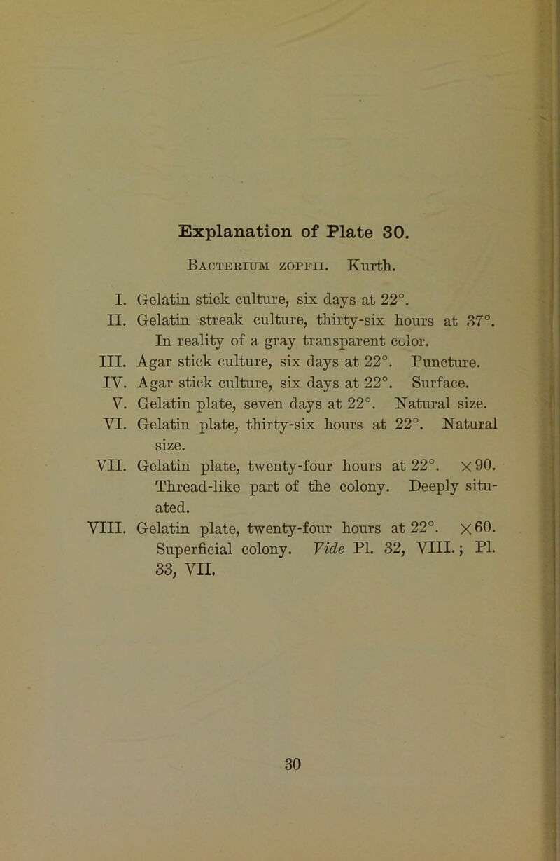 Bacterium zopfii. Kurth. I. Gelatiu stick culture, six days at 22°. II. Gelatiu streak culture, tliirty-six hours at 37°. In reality of a gray transparent color. III. Agar stick culture, six days at 22°. Puncture. IV. Agar stick culture, six days at 22°. Surface. V. Gelatiu plate, seven days at 22°. Natural size. VI. Gelatin plate, thirty-six kours at 22°. Natural size. VII. Gelatin plate, twenty-four hours at 22°. x 90. Thread-like part of the colony. Deeply situ- ated. VIII. Gelatin plate, twenty-four hours at 22°. x60. Superficial colony. Yide PI. 32, VTII.; PI. 33, VII. 30