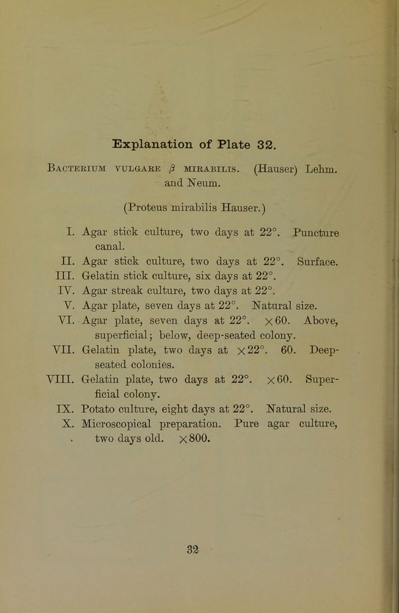 Bacterium vulgare ß MiRABiLis. (Hauser) Lehm. and Neum. (Proteus mirabilis Hauser.) I. Agar stick culture, two days at 22°. Puncture canal. II. Agar stick culture, two days at 22°. Surface. III. Gelatin stick culture, six days at 22°. IV. Agar streak culture, two days at 22°. V. Agar plate, seven days at 22°. Natural size. VI. Agar plate, seven days at 22°. x60. Above, superficial; below, deep-seated colony. VII. Gelatin plate, two days at x22°. 60. Deep- seated colonies. VIII. Gelatin plate, two days at 22°. x60. Super- ficial colony. IX. Potato culture, eight days at 22°. Natural size. X. Microscopical preparatiou. Pure agar culture, . two days old. x800. i 32