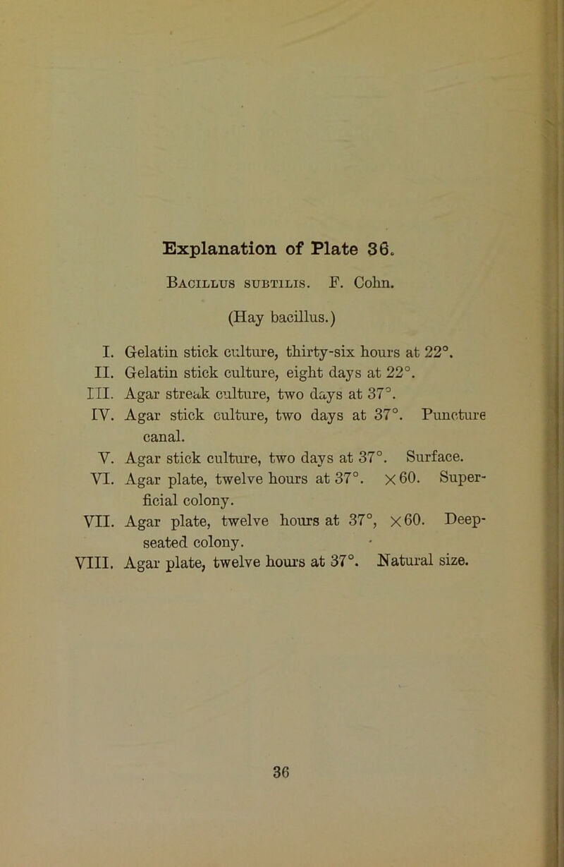 Bacillus subtilis. B. Colin. (Hay bacillus.) I. Gelatin stick culture, thirty-six hours at 22°. II. Gelatin stick culture, eigkt days at 22°. III. Agar streak c’jlture, two days at 37°. IV. Agar stick culture, two days at 37°. Puncture canal. V. Agar stick culture, two days at 37°. Surface. VI. Agar plate, twelve hours at 37°. x60. Super- ficial colony. VII. Agar plate, twelve hours at 37°, x 60. Deep- seated colony. VIII. Agar plate, twelve hours at 37°. Natural size. 36