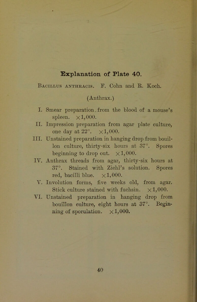 Bacillus anthracis. F. Cohn and E. Koch. (Anthrax.) I. Smear preparation. froin the blood of a mouse’s spieen, x 1,000. II. Impression preparation from agar plate culture, one day at 22°. x 1,000. III. Unstained preparation in hanging drop from bouil- lon culture, thirty-six hoiu-s at 37°. Spores beginning to drop out. x 1,000. IV. Anthrax threads from agar, thirty-six hours at 37°. Stained with Ziehl’s solution. Spores red, bacilli blue, x 1,000. V. Involution forms, five weeks old, from agar. Stick culture stained with fuchsin. x 1,000. VI. Unstained preparation in hanging drop from bouillon culture, eight hours at 37°. Begin- ning of sporulation. X 1,000. 40