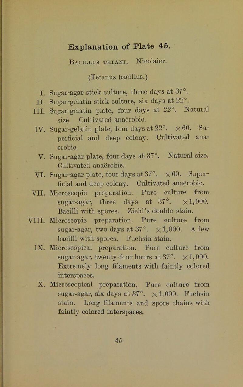 Bacillus tetani. Nicolaier. (Tetanus bacillus.) I. Sugar-agar stick culture, three days at 37°. II. Sugar-gelatin stick culture, six days at 22°. III. Sugar-gelatin plate, four days at 22°. Natural size. Cultivated anaerobic. IV. Sugar-gelatin plate, four days at 22°. x60. Su- perficial and deep colony. Cultivated ana- erobic. V. Sugar-agar plate, four days at 37°. Natural size. Cultivated anaerobic. VI. Sugar-agar plate, four days at 37°. x60. Super- ficial and deep colony. Cultivated anaerobic. VII. Microscopic preparation. Pure culture from sugar-agar, three days at 37°. xljOOO. Bacilli witb spores. Ziehl’s double stain. VIII. Microscopic preparation. Pure culture from sugar-agar, two days at 37°. xljOOO. A few bacilli witb spores. Fuchsin stain. IX. Microscopical preparation. Pure culture from sugar-agar, twenty-four hours at 37°. x 1? 000- Extremely long filaments with faintly colored interspaces. X. Microscopical preparation. Pure culture from sugar-agar, six days at 37°. x 1,000. Fuchsin stain. Long filaments and spore chains with faintly colored interspaces. 46