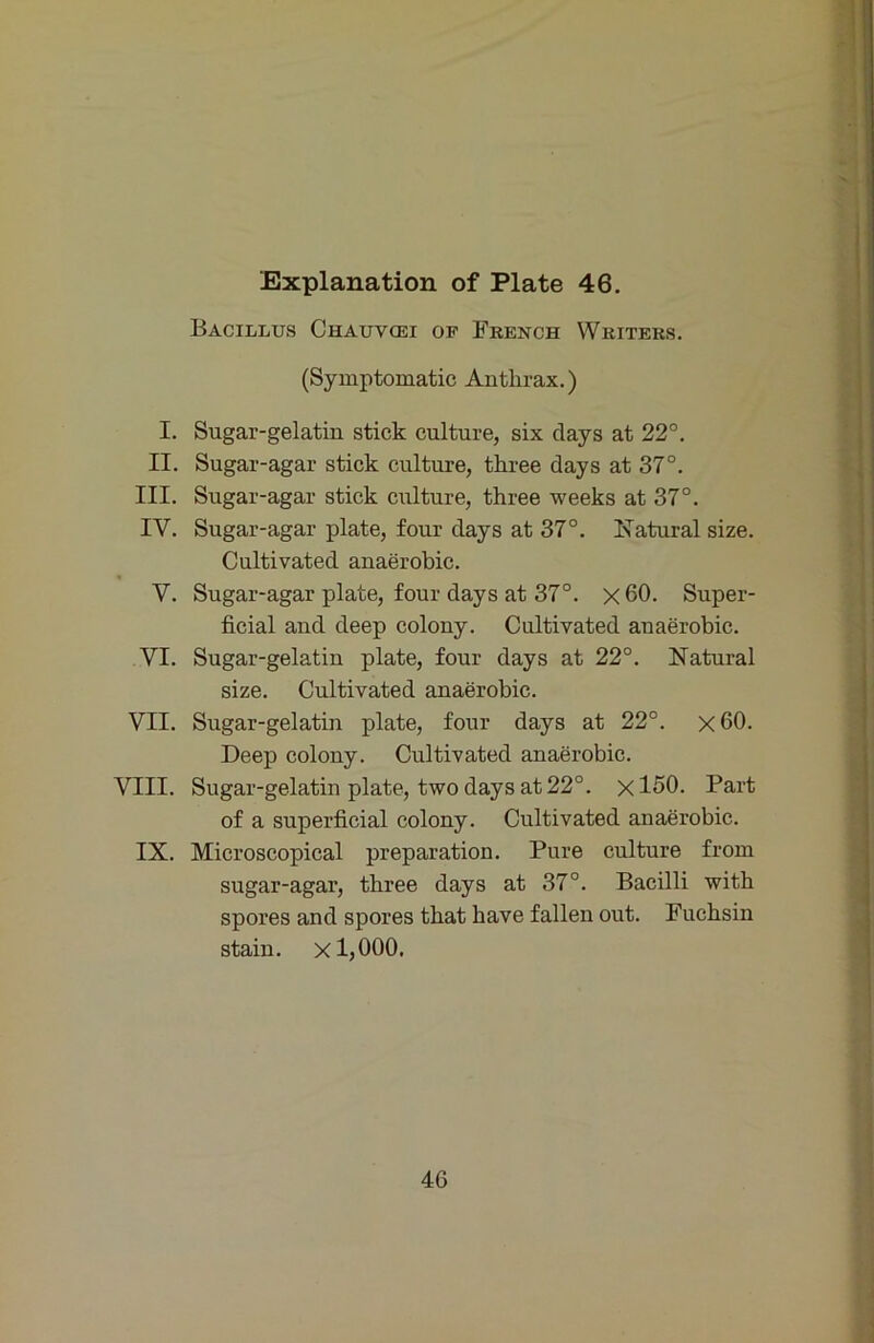 Bacillus Chauvcei op French Writers. (Symptomatic Anthrax.) I. Sugar-gelatin stick culture, six days at 22°. II. Sugar-agar stick culture, three days at 37°. III. Sugar-agar stick culture, three weeks at 37°. IV. Sugar-agar plate, four days at 37°. Katural size. Cultivated anaerobic. V. Sugar-agar plate, four days at 37°. x 60. Super- ficial and deep colony. Cultivated anaerobic. VI. Sugar-gelatin plate, four days at 22°. Natural size. Cultivated anaerobic. VII. Sugar-gelatin plate, four days at 22°. x60. Deep colony. Cultivated anaerobic. VIII. Sugar-gelatin plate, two days at 22°. xl50. Part of a superficial colony. Cultivated anaerobic. IX. Microscopical preparation. Pure culture from sugar-agar, three days at 37°. Bacilli with spores and spores that have fallen out. Fuchsin stain. X 1,000. 46
