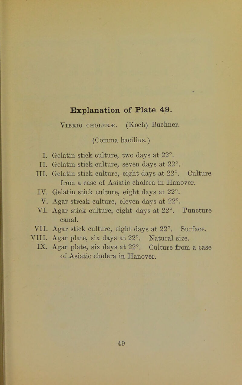 Vibrio CHOLERiE. (Kocli) Bucliner. (Comma bacillas.) I. Gelatin stick culture, two days at 22°. II. Gelatin stick culture, seven days at 22°. III. Gelatin stick culture, eigkt days at 22°. Culture from a case of Asiatic cholera in Hanover. IV. Gelatin stick culture, eight days at 22°. V. Agar streak culture, eleven days at 22°. VI. Agar stick culture, eight days at 22°. Puncture canal. VII. Agar stick culture, eight days at 22°. Surface. VIII. Agar plate, six days at 22°. Natural size. IX. Agar plate, six days at 22°. Culture from a case of Asiatic cholera in Hanover.