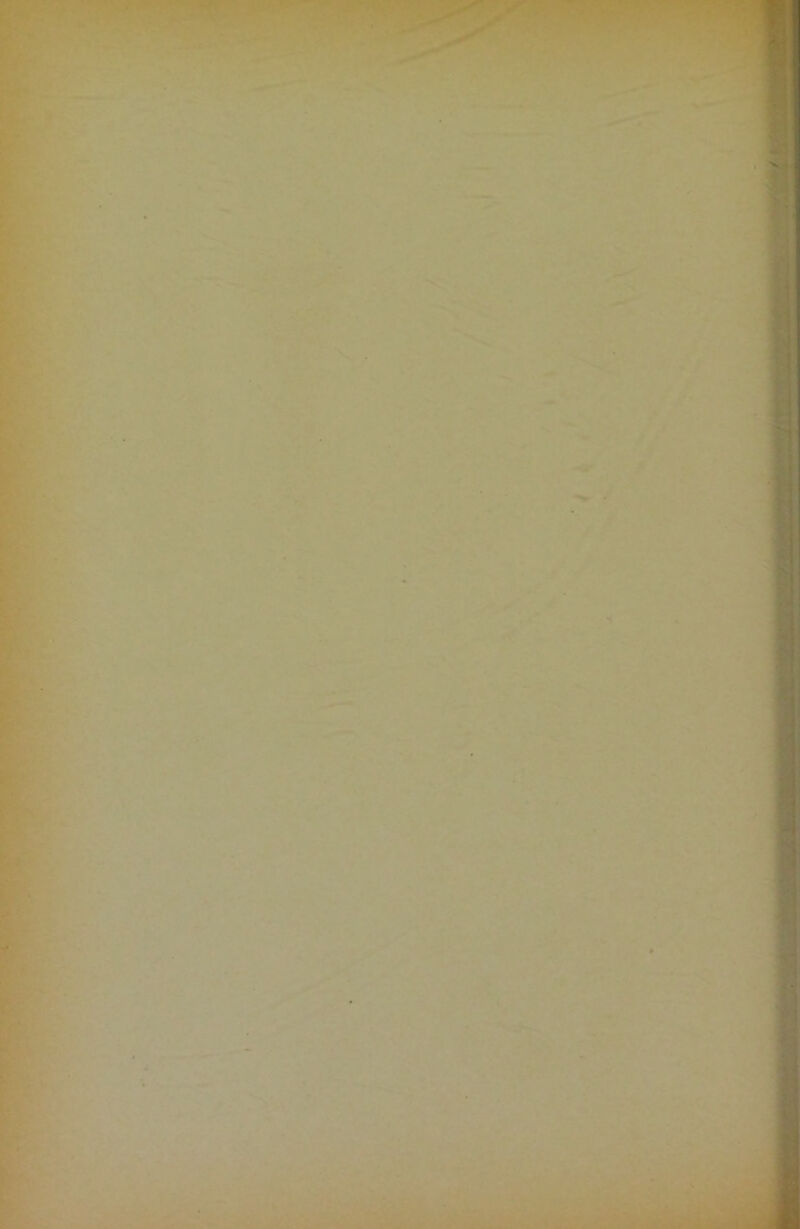 .1 t ■i I ■:1 i; K V \ > I I n / i j ■-■j