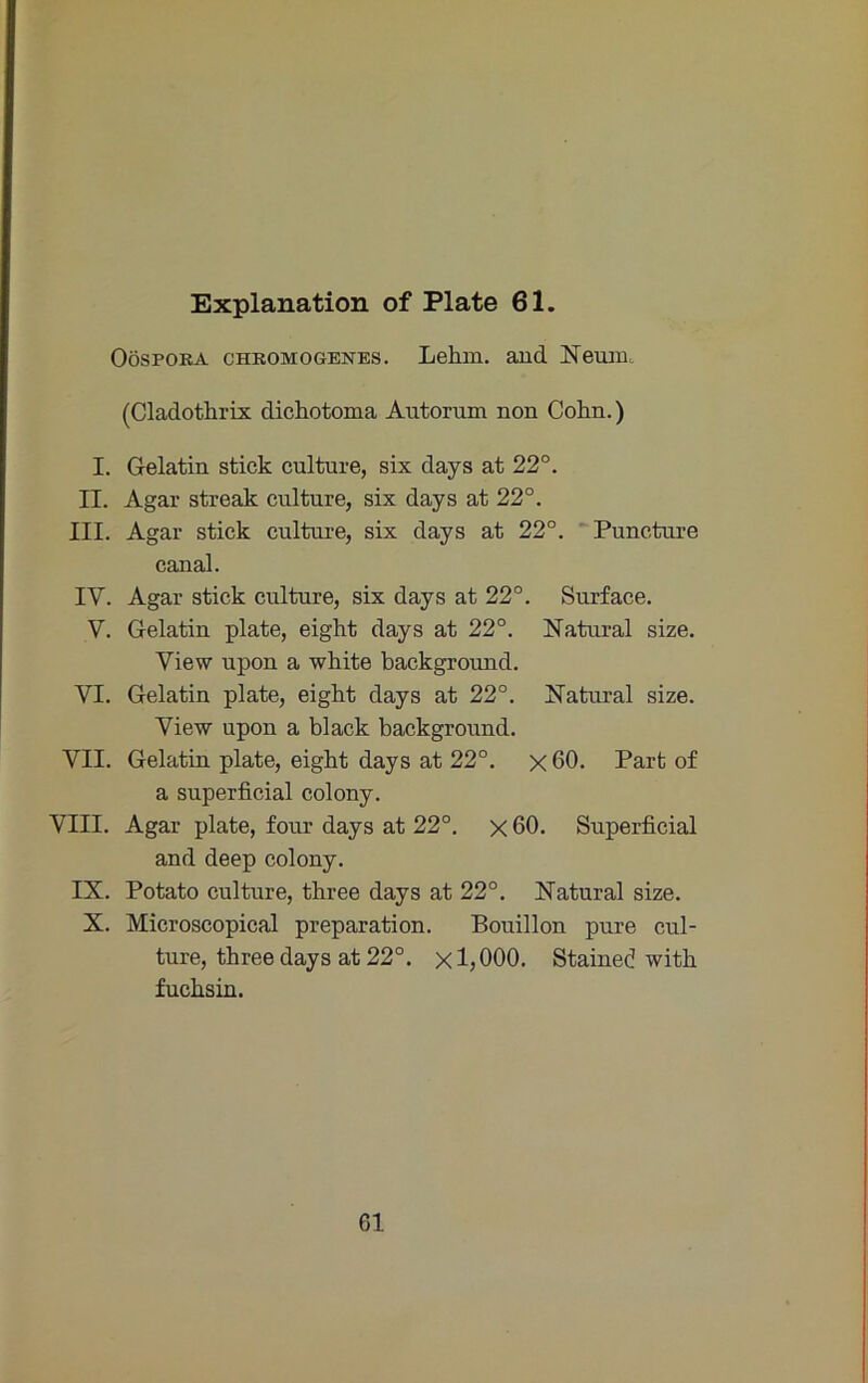 Oospora chromogenes. Lehm, and Neum, (Cladothrix dichotoma Autorum non Cohn.) I. Gelatin stick culture, six days at 22°. II. Agar streak culture, six days at 22°. III. Agar stick culture, six days at 22°. Puncture canal. IV. Agar stick culture, six days at 22°. Surface. V. Gelatin plate, eight days at 22°. Natural size. View upon a white background. VI. Gelatin plate, eight days at 22°. Natural size. View upon a black background. VII. Gelatin plate, eight days at 22°. x 60. Part of a superficial colony. VIII. Agar plate, four days at 22°. x 60. Superficial and deep colony. IX. Potato culture, three days at 22°. Natural size. X. Microscopical preparation. Bouillon pure cul- ture, three days at 22°. X 1,000. Stained with fuchsin. 61