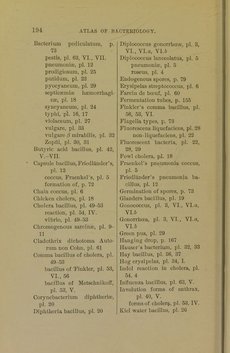 Bacterium pecliculatum, p. 73 pestis, pl. 63, VI., VII. pneumoniaj, pl. 12 prodigiüsum, pl. 25 putidum, pl. 22 pyocyaneum, pl. 29 septicsemiaj hasmorrhagi- cae, pl. 18 syncyaneum, pl. 24 typhi, pl. 16, 17 violaceum, pl. 27 vulgare, pl. 33 vulgare ß mirabilis, pl. 32 Zopfii, pl. 30, 31 Butyric acid bacillus, pl. 42, V.-VII. Capsule bacil lus, Fried länder ’ s, pl. 12 coccus, Fraenkel’s, pl. 5 formation of, p. 72 Chain coecus, pl. 6 Cbickeu cbolera, pl. 18 Cholera bacillus, pl. 49-53 reaction, pl. 54, IV. Vibrio, pl. 49-53 Chromogenous sareina3, pl. 9- 11 Cladothrix dichotoma Auto- rum non Cohn, pl. 61 Comma bacillus of cbolera, pl. 49-53 bacillus of 'Finkler, pl. 53, VI., 56 bacillus of Metschnikoil, pl. 53, V. Corynebacterium diphtheriaj, pl. 20 Diphtheria bacillus, pl. 20 Diplococcus gonorrhceai, pl. 3, VI., Vl.a, VI.ö Diplococcus lanccolatus, pl. 5 pneumoniae, pl. 5 roseus, pl. 4 Endogenous spores, p. 79 Erysipelas Streptococcus, pl. 6 Farcin de boeuf, pl. 60 Fermentation tubes, p. 155 Finkler’s comma bacillus, pl. 56, 53, VI. Flagella types, p. 73 Fluorescens liquefaciens, pl. 28 non-liquefaciens, pl. 22 Fluorescent bacteria, jd!. 22, 28, 29 Fowl cbolera, pl. 18 Fraeukel’s pneumonia coccus, pl. 5 Friedländer’s pneumonia ba- cillus, pl. 12 Germination of spores, p. 73 Glanders bacillus, pl. 19 Gonococcus, pl. 3, VI., Vl.a, VI. ö Gonorrheea, pl. 3, VI., Vl.a, VI. ö Green pus, pl. 29 Hanging drop, p. 167 Hauser’s bacterium, pl. 32, 33 Hay bacillus, pl. 36, 37 Hog erysipelas, pl. 34, I. Indol reaction in cbolera, pl. 54. 4 Influenza bacillus, pl. 63, V. Involution forms of antbrax, pl. 40, V. forms of cbolera, pl. 53, IV. Kiel water bacillus, pl. 26