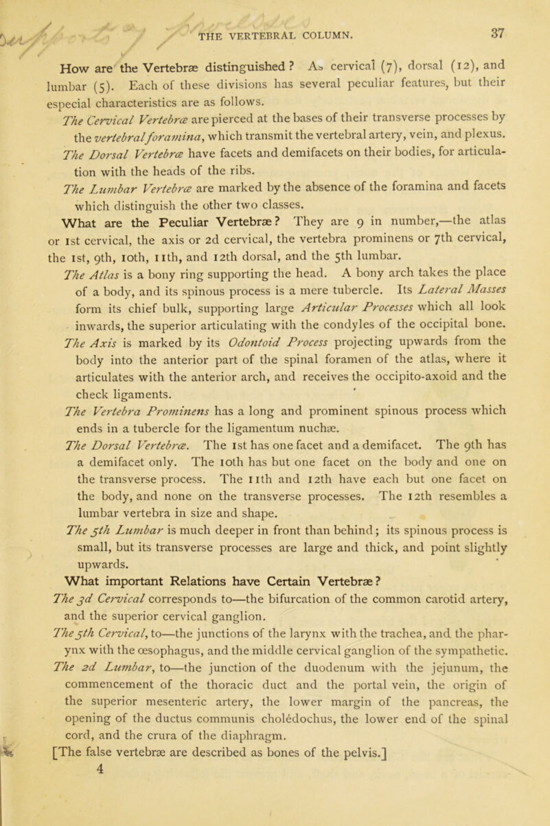 How are the Vertebrae distinguished? As cervical (7), dorsal (12), and lumbar (5). Each of these divisions has several peculiar features, but their especial characteristics are as follows. The Cervical Vertebrce are pierced at the bases of their transverse processes by the vertebral foramina, which transmit the vertebral artery, vein, and plexus. The Dorsal Vertebrce have facets and demifacets on their bodies, for articula- tion with the heads of the ribs. The Lumbar Vertebrce are marked by the absence of the foramina and facets which distinguish the other two classes. What are the Peculiar Vertebrae? They are 9 in number,—the atlas or 1st cervical, the axis or 2d cervical, the vertebra prominens or 7th cervical, the 1st, 9th, 10th, nth, and 12th dorsal, and the 5th lumbar. The Atlas is a bony ring supporting the head. A bony arch takes the place of a body, and its spinous process is a mere tubercle. Its Lateral Masses form its chief bulk, supporting large Articular Processes which all look inwards, the superior articulating with the condyles of the occipital bone. The Axis is marked by its Odontoid Process projecting upwards from the body into the anterior part of the spinal foramen of the atlas, where it articulates with the anterior arch, and receives the occipito-axoid and the check ligaments. The Vertebra Prominens has a long and prominent spinous process which ends in a tubercle for the ligamentum nuchae. The Dorsal Vertebrce. The 1st has one facet and a demifacet. The 9th has a demifacet only. The 10th has but one facet on the body and one on the transverse process. The nth and 12th have each but one facet on the body, and none on the transverse processes. The 12th resembles a lumbar vertebra in size and shape. The 5th Lumbar is much deeper in front than behind; its spinous process is small, but its transverse processes are large and thick, and point slightly upwards. What important Relations have Certain Vertebrae? The 3d Cei'vical corresponds to—the bifurcation of the common carotid artery, and the superior cervical ganglion. The3th Cervical, to—the junctions of the larynx with the trachea, and the phar- ynx with the oesophagus, and the middle cervical ganglion of the sympathetic. The 2d Lumbar, to—the junction of the duodenum with the jejunum, the commencement of the thoracic duct and the portal vein, the origin of the superior mesenteric artery, the lower margin of the pancreas, the opening of the ductus communis choledochus, the lower end of the spinal cord, and the crura of the diaphragm. [The false vertebrae are described as bones of the pelvis.] 4
