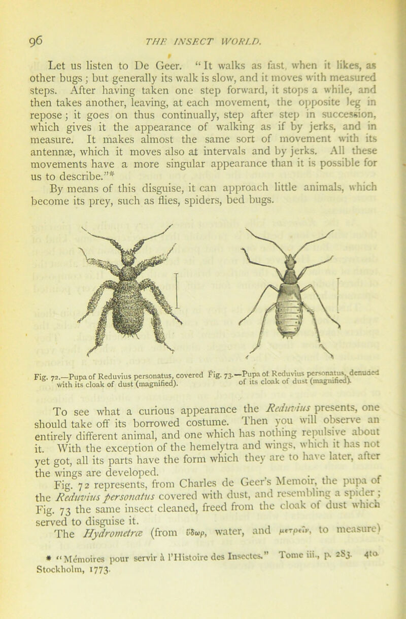 Let us listen to De Geer. “ It walks as l'ast, when it ükes, as other bugs ; but generally its walk is slow, and it moves with measured steps. After having taken one step forward, it stops a while, and then takes another, leaving, at each movement, the oi)posite leg in repose ; it goes on thus continually, step after step in succession, which gives it the appearance of walking as if by jerks, and in measure. It makes almost the same sort of movement with its antennæ, which it moves also at intervals and by jerks. Ail these movements hâve a more singular appearance than it is possible for us to describe.”* By means of this disguise, it can approach little animais, which become its prey, such as Aies, spiders, lied bugs. To see what a curious appearance the Reduvius présents, one should take off its borrowed costume. rlhen you will observe an entirely different animal, and one which lias nothing répulsive about it. With the exception of the hemelytra and wings, which it lias not yet got, ail its parts hâve the form which they are to liai e later, atter the wings are developed. . Fig. 7 2 represents, from Charles de Geer s Memoir, the pupa of the Reduvius personatus covered with dust, and resembling a spider ; Fig. 73 the sanie insect cleaned, freed from the cloak ot dust which served to disguise it. . The Hydrometrce (from SSup, water, and to measure) * “Mémoires pour servir à l’Histoire des Insectes. Tome iii., p. 2S3. 4“' Stockholm, 1773-