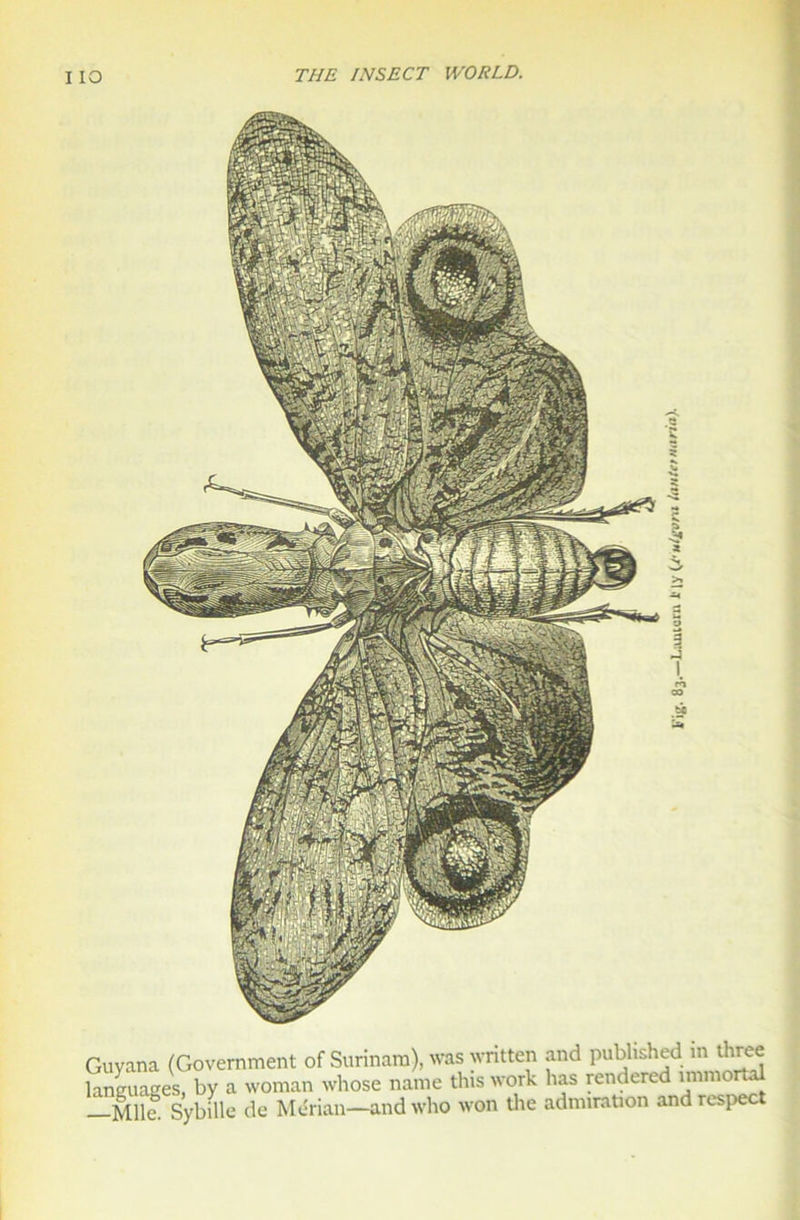 Guyana (Government of Surinam), was written and published m three languages, by a woman whose name tins work lias rendered immc Mlle. Sybille de Mérian—and who won the admiration andrespe