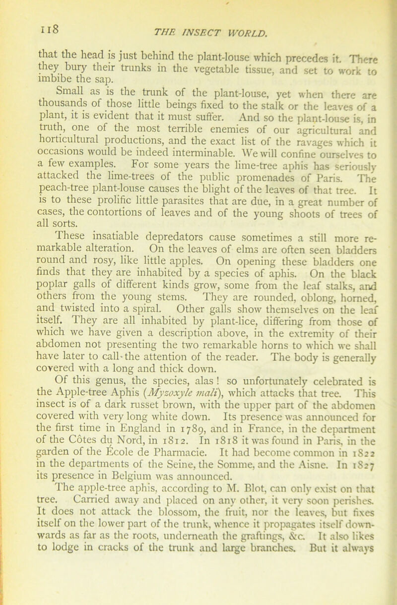 that the head is just behind the plant-louse which précédés it. There they bury their trunks in the vegetable tissue, and set to work to imbibe the sap. Small as is the trunk of the plant-louse, yet when there are thousands of those little beings fixed to the stalk or the leaves of a plant, it is évident that it must suffer. And so the plant-louse is, in truth, one of the most terrible enemies of our agricultural and horticultural productions, and the exact list of the ravages which it occasions would be indeed interminable. Wewill confine ourselves to a few examples. For sonie years the lime-tree aphis has seriously attacked the lime-trees of the public promenades of Paris. The peach-tree plant-louse causes the blight of the leaves of that tree. It is to these prolific little parasites that are due, in a great number of cases, the contortions of leaves and of the young shoots of trees of ail sorts. These insatiable depredators cause sometimes a still more re- markable alteration. On the leaves of elms are often seen bladders round and rosy, like little apples. On opening these bladders one finds that they are inhabited by a species of aphis. On the black poplar galls of different kinds grow, some from the leaf stalks, and others from the young stems. They are rounded, oblong, homed, and twisted into a spiral. Other galls show themselves on the leaf itself. They are ail inhabited by plant-lice, differing from those of which we hâve given a description above, in the extremity of their abdomen not presenting the two remarkable horns to which we shall hâve later to call-the attention of the reader. The body is generally covered with a long and thick down. Of this genus, the species, alas ! so unfortunately celebrated is the Apple-tree Aphis (Myzoxyle malt), which attacks that tree. This insect is of a dark russet brown, with the upper part of the abdomen covered with very long white down. Its presence was announced for the first time in England in 1789, and in France, in the department of the Côtes du Nord, in 1812. In 1818 it was found in Paris, in the garden of the École de Pharmacie. It had becomecommon in 1S22 in the departments of the Seine, the Somme, and the Aisne. In 1827 its presence in Belgium was announced. The apple-tree aphis, according to M. Blot, can only exist on that tree. Carried away and placed on any other, it ver)- soon perishes. It does not attack the blossom, the fruit, nor the leaves, but fixes itself on the lower part of the trunk, whence it propagates itself down- wards as far as the roots, underneath the graftings, &c. It also likes to lodge in cracks of the trunk and large branches. But it always