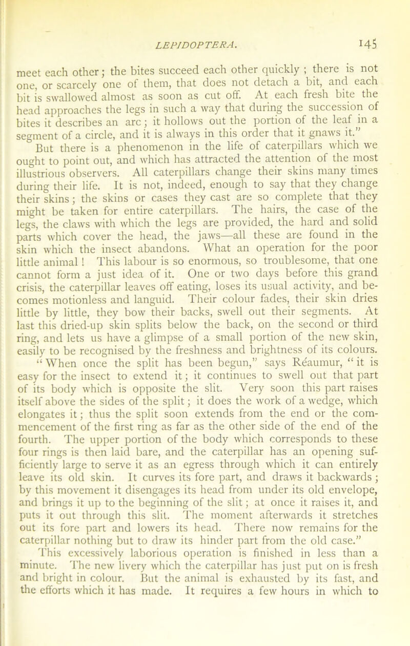 meet each other ; the bites succeed each other quickly ; there is not onc, or scarcely one ot thcm, that does not detach a bit, and cach bit is swallowed almost as soon as eut off. At each fiesh bite the head approaches the legs in such a way that during the succession of bites it describes an arc ; it hollows out the portion of the leaf m a segment of a circle, and it is always in this order that it gnaws it. ° But there is a phenomenon in the life of caterpillars which we ought to point out, and which has attracted the attention of the most illustrious observers. Ail caterpillars change their skins many times during their life. It is not, indeed, enough to say that they change their skins ; the skins or cases they cast are so complété that they might be taken for entire caterpillars. The hairs, the case of the legs, the claws with which the legs are provided, the hard and solid parts which cover the head, the jaws—ail these are found in the skin which the insect abandons. What an operation for the poor little animal ! This labour is so enormous, so troublesome, that one cannot form a just idea of it. One or two days before this grand crisis, the Caterpillar leaves off eating, loses its usual activity, and be- comes motionless and languid. Their colour fades, their skin dries little by little, they bow their backs, swell out their segments. At last this dried-up skin splits below the back, on the second or third ring, and lets us hâve a glimpse of a small portion of the new skin, easily to be recognised by the freshness and brightness of its colours. “ When once the split has been begun,” says Réaumur, “ it is easy for the insect to extend it ; it continues to swell out that part of its body which is opposite the slit. Very soon this part raises itself above the sides of the split ; it does the work of a wedge, which elongates it ; thus the split soon extends from the end or the com- mencement of the first ring as far as the other side of the end of the fourth. The upper portion of the body which corresponds to these four rings is then laid bare, and the Caterpillar has an opening suf- ficiently large to serve it as an egress through which it can entirely leave its old skin. It curves its fore part, and draws it backwards ; by this movement it disengages its head from under its old envelope, and brings it up to the beginning of the slit ; at once it raises it, and puts it out through this slit. The moment afterwards it stretches out its fore part and lowers its head. There now remains for the Caterpillar nothing but to draw its hinder part from the old case.” This excessively laborious operation is finished in less than a minute. The new livery which the Caterpillar has just put on is fresh and bright in colour. But the animal is exhausted by its fast, and the efforts which it has made. It requires a few hours in which to