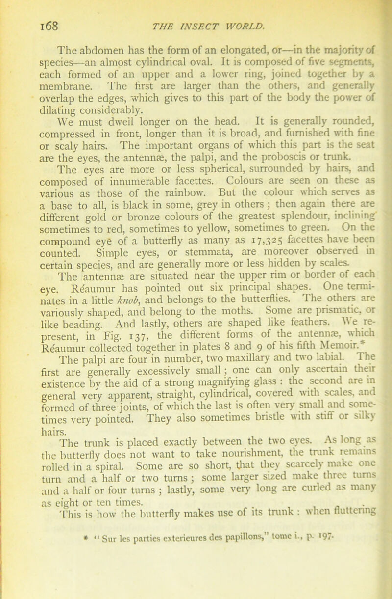 The abdomen lias the form of an elongated, or—in the majority of species—an almost cylindrical oval. It is composed of five segments, each formed of an upper and a lower ring, joined together by a membrane. The first are larger than the others, and generally overlap the edges, which gives to this part of the body the power of dilating considerably. We must dweil longer on the head. It is generally rounded, compressed in front, longer than it is broad, and fumished with fine or scaly hairs. The important organs of which this part is the seat are the eyes, the antennæ, the palpi, and the proboscis or trunk. The eyes are more or less spherical, surrounded by hairs, and composed of innumerable facettes. Colours are seen on these as various as those of the rainbow. But the colour which serves as a base to ail, is black in some, grey in others ; then again there are different gold or bronze colours of the greatest splendour, inclining sometimes to red, sometimes to yellow, sometimes to green. On the compound eye of a butterfly as many as 17,325 facettes hâve been counted. Simple eyes, or stemmata, are moreover observed in certain species, and are generally more or less hidden by scales. The antennæ are situated near the upper rim or border of each eye. Re'aumur has pointed out six principal shapes. One termi- nâtes in a little ktiob, and belongs to the butterflies. 1 he others are variously shaped, and belong to the moths. Some are prismatic, or like beading. And lastly, others are shaped like feathers. We re- present, in Fig. 137, the different forms of the antennæ, which Réaumur collected together in plates 8 and 9 of his fifth Memoir.* The palpi are four in number, two maxillary and two labial. The first are generally excessively small ; one can only ascertain their existence by the aid of a strong magnifying glass : the second are in general very apparent, straight, cylindrical, covered with scales, and formed of three joints, of which the last is often very small and some- j times very pointed. They also sometimes bristle with stift or silky hairs. The trunk is placed exactly between the two eyes. As long as the butterfly does not want to take nourishment, the trunk remains rolled in a spiral. Some are so short, that they scarcely make one turn and a half or two tums ; some larger sized make three tums and a half or four tums ; lastly, some very long are curled as many as eight or ten times. This is how the butterfly makes use of its trunk : when fluttcnng * “ Sur les parties extérieures des papillons, tome i., p- 197-